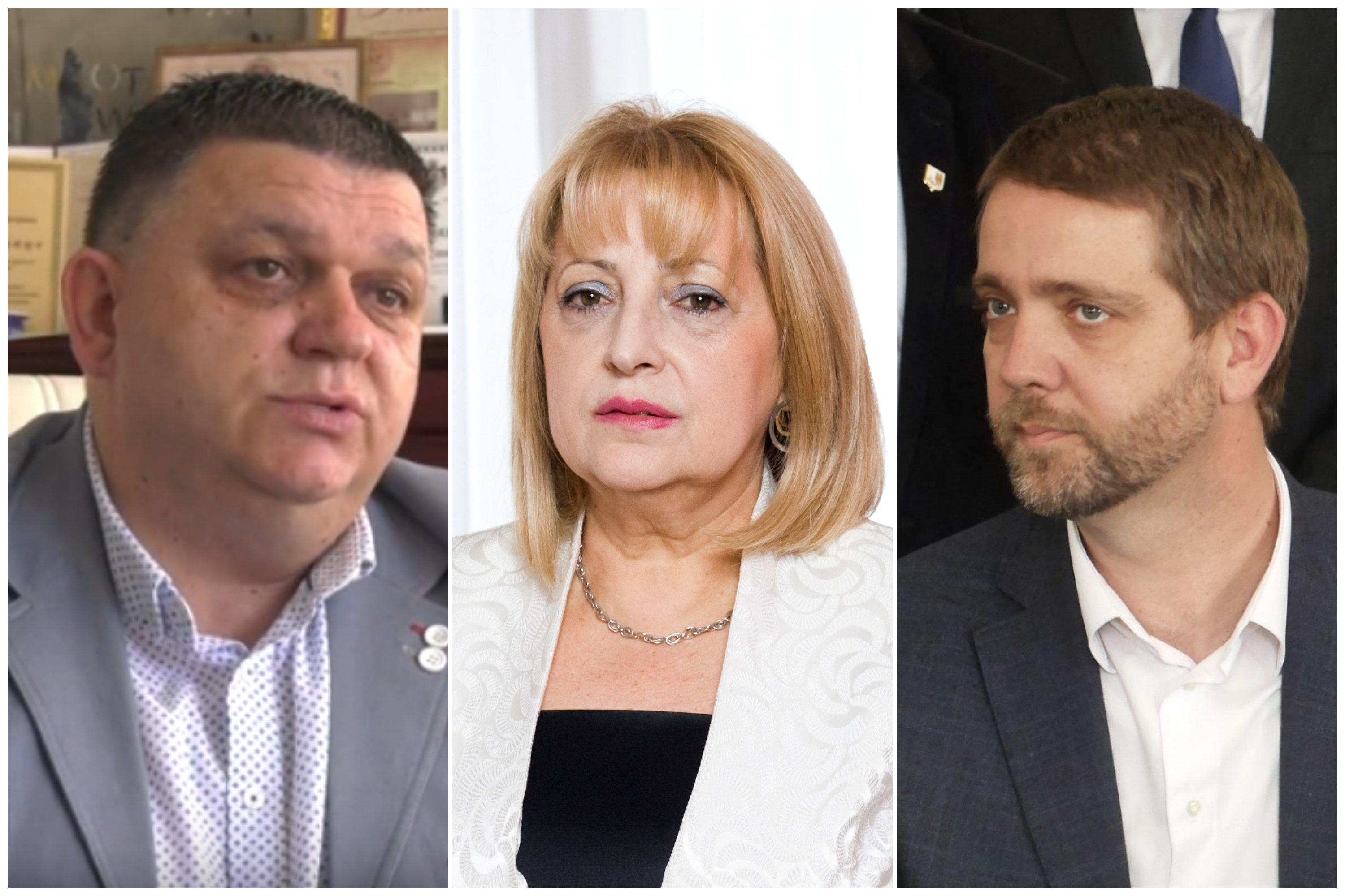 vladica slavica dasic