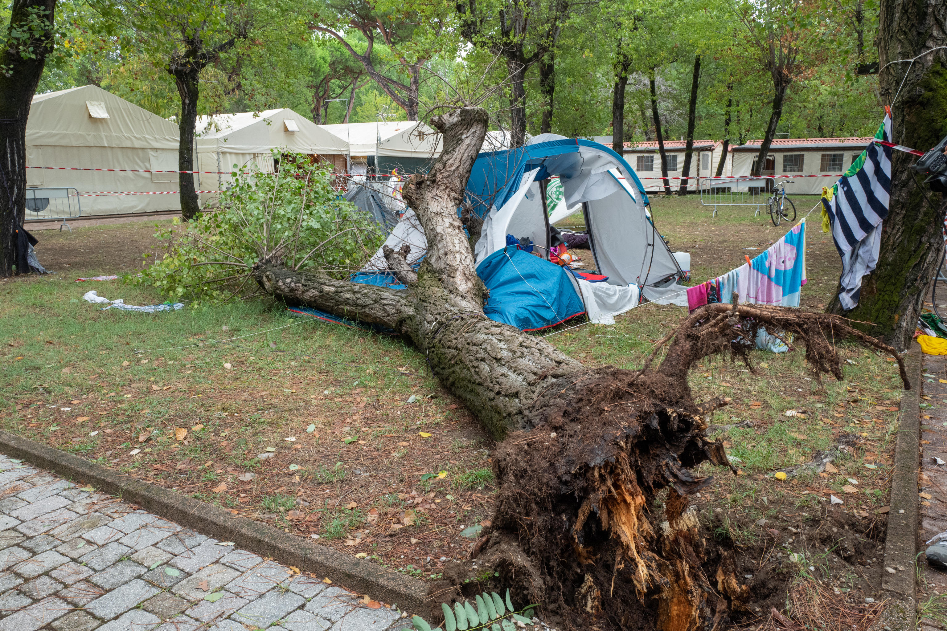 Two children dead after tree fell on tent