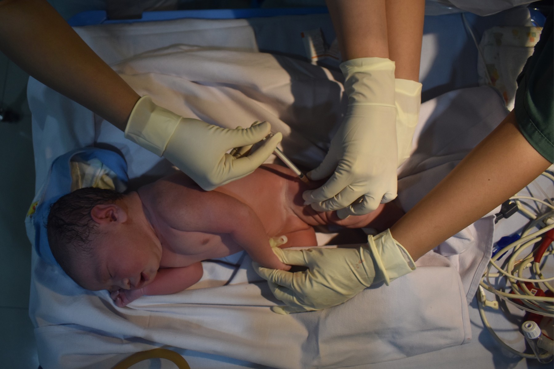 profimedia-0518706704