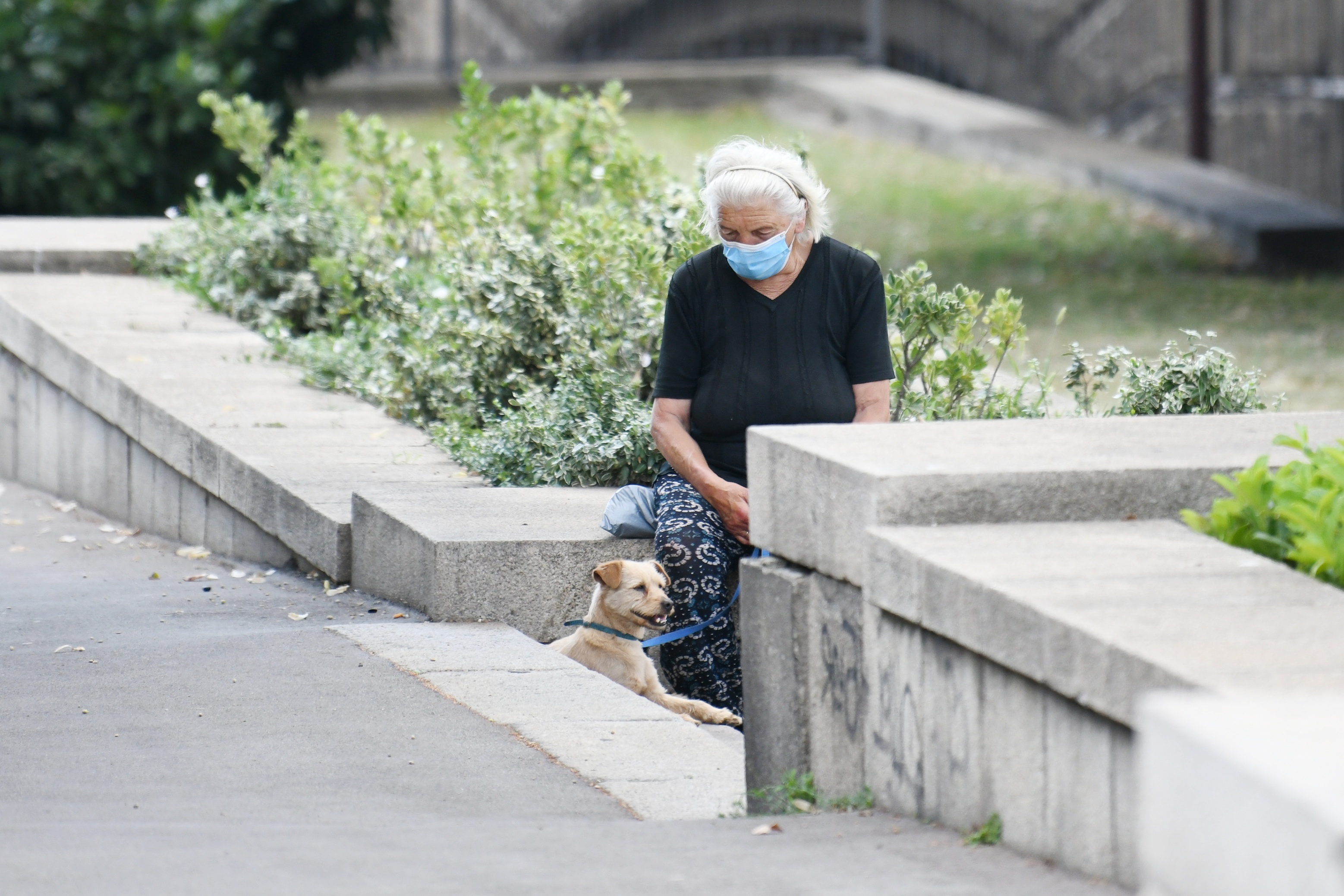Beograd 16.07.2020. Baka, starija žena, penzionerka, penzioner, zaštitna maska, pas, kuče, koronavirus Foto: Vesna Lalić/Nova.rs