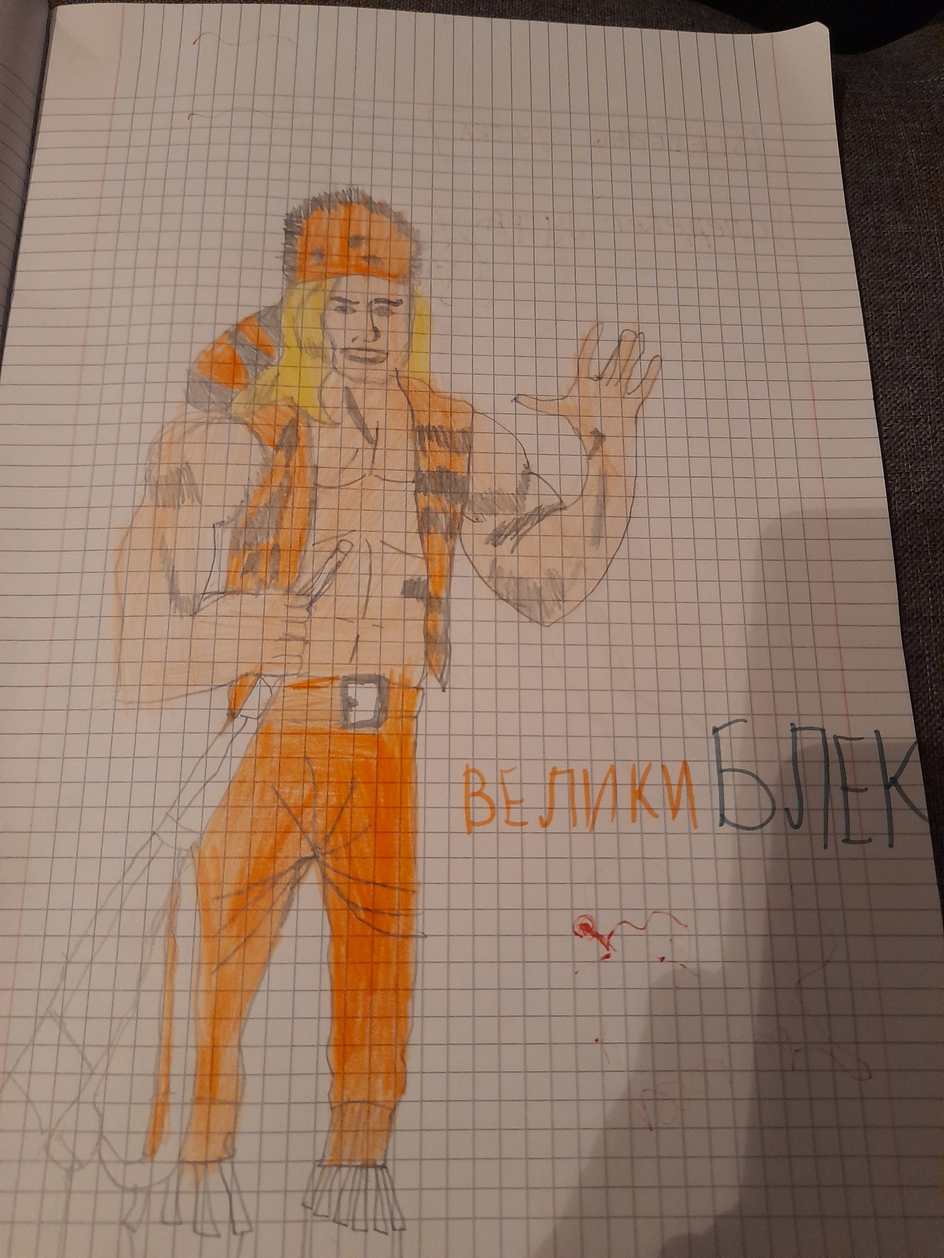 Andrijini crteži, Gorica Mladenović