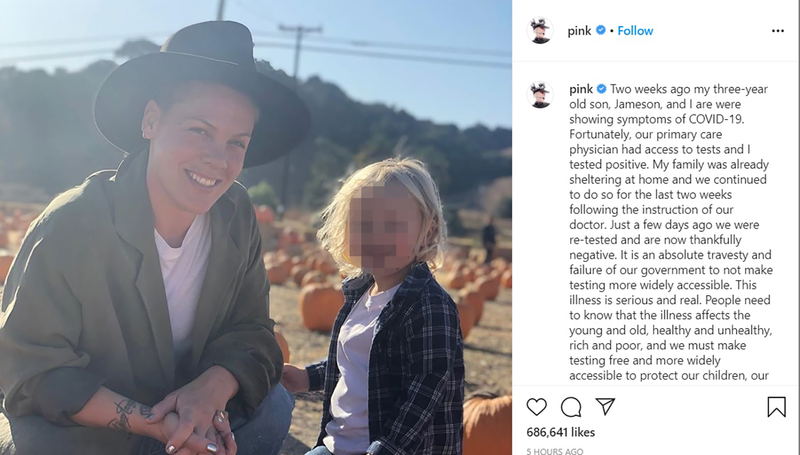 Pink, pevačica Foto: Instagram/pink