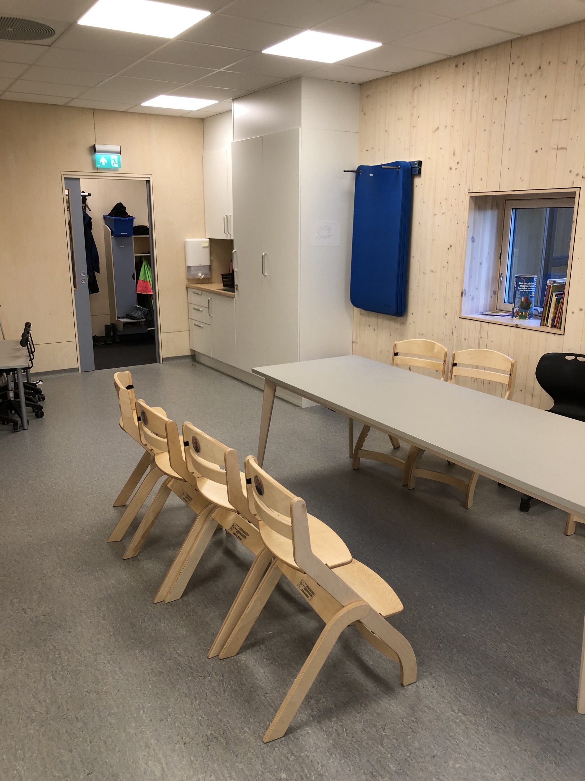 Snežana Voljevica, vaspitačica iz Norveške