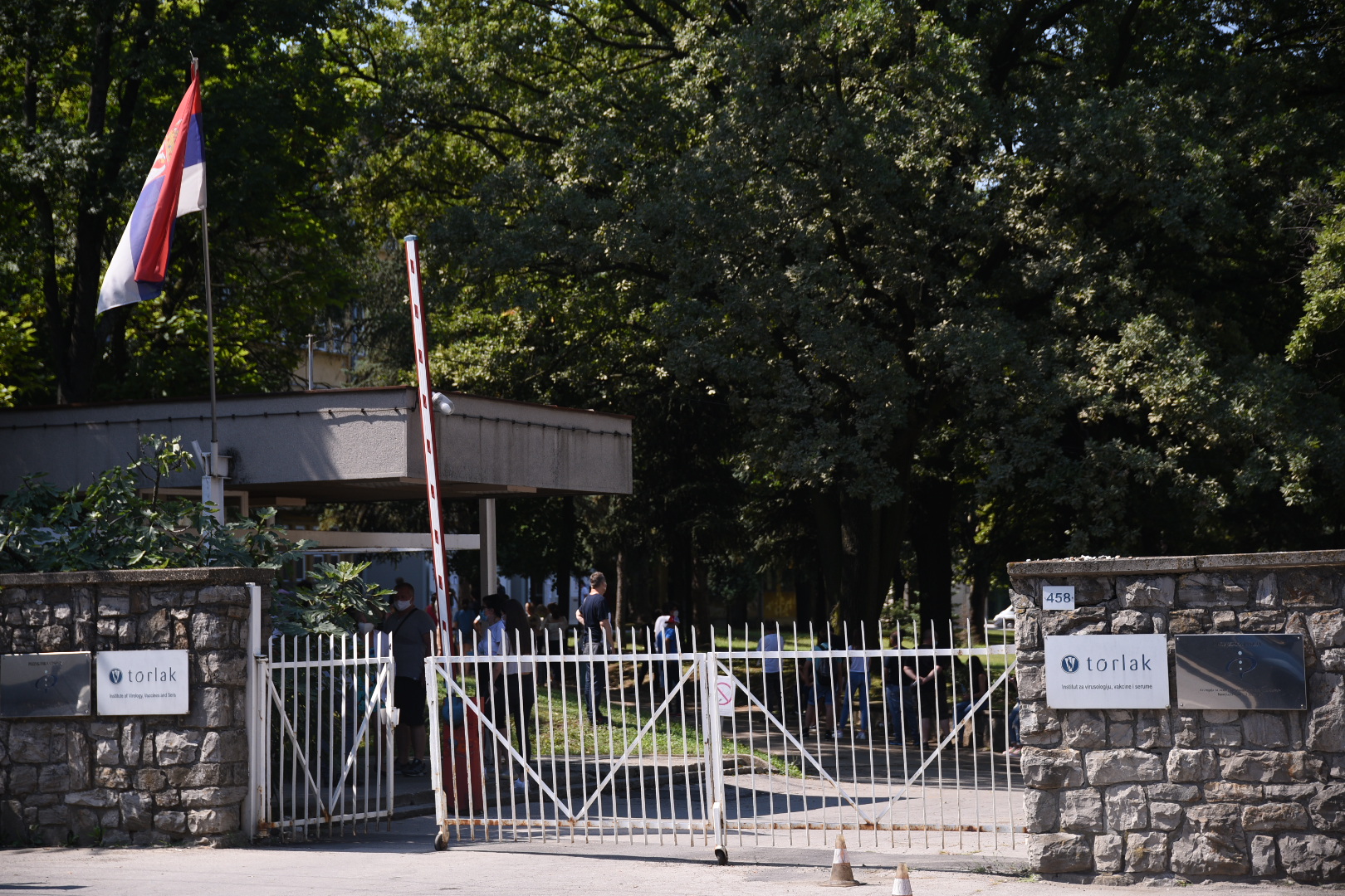 Beograd 10. avgust 2020. Red za testiranje ispred Instituta Torlak Foto:Dragan Mujan/Nova.rs