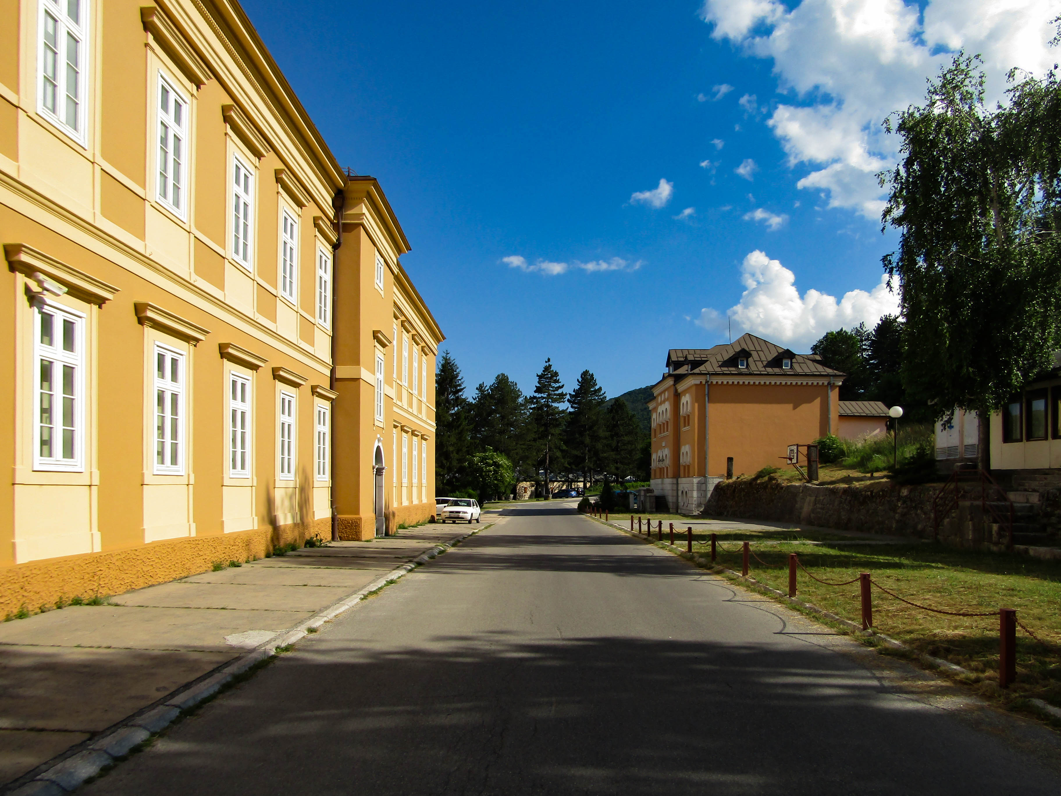 Cetinje, Bogoslovija Sv. Petra Cetinjskog
