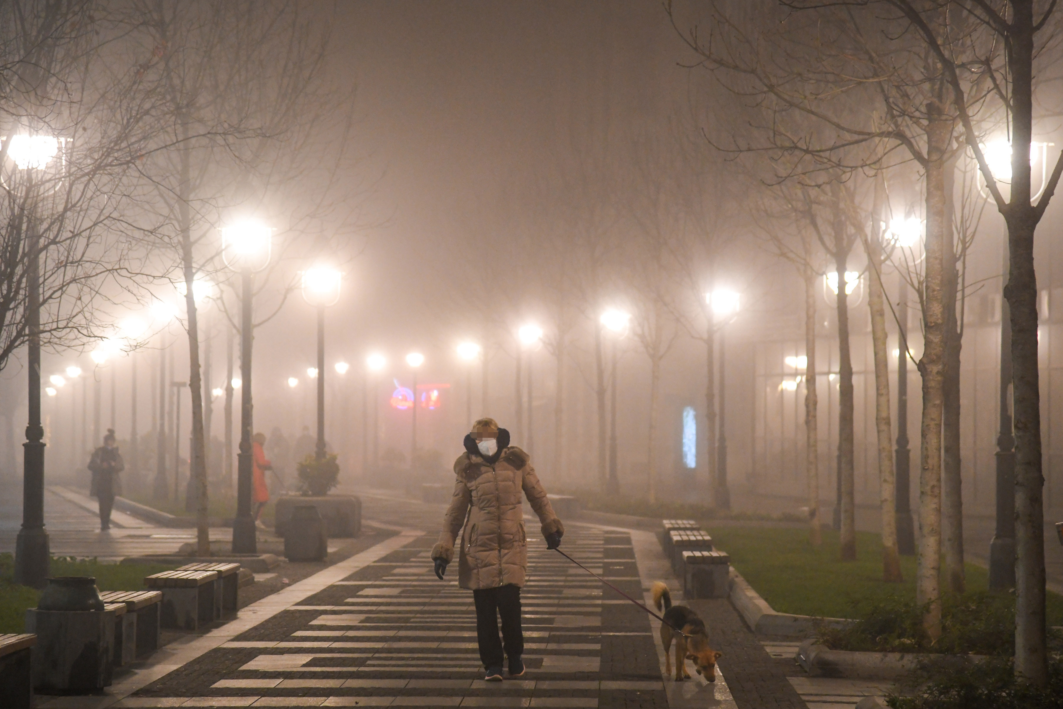 Beograd 17.12.2020. Smog, magla, zagađenje, zagadjenje vazduha, vazduh, noć, veče, mrak, centar grada, žena šeta psa, pas Foto: Nemanja Jovanović/Nova.rs