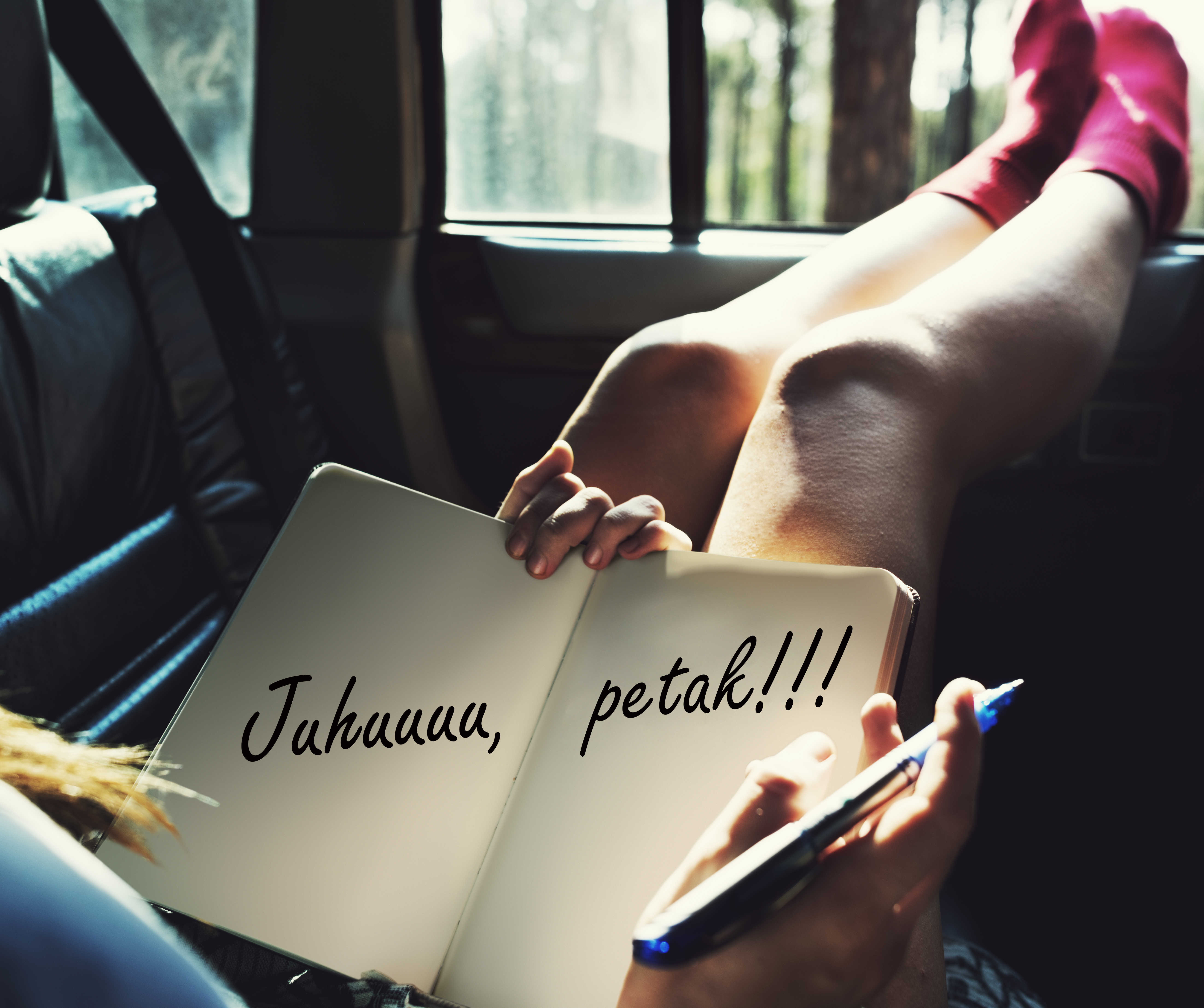 shutterstock_504602014 7