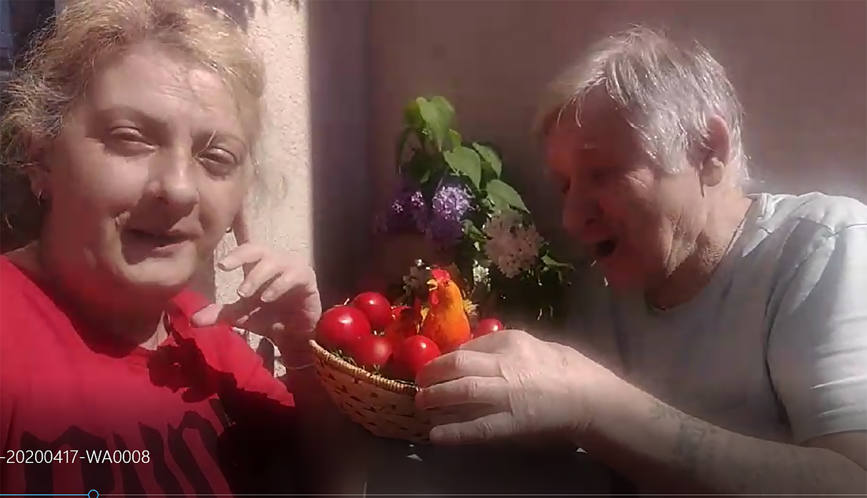 novica zdravkovic sa jajima 2