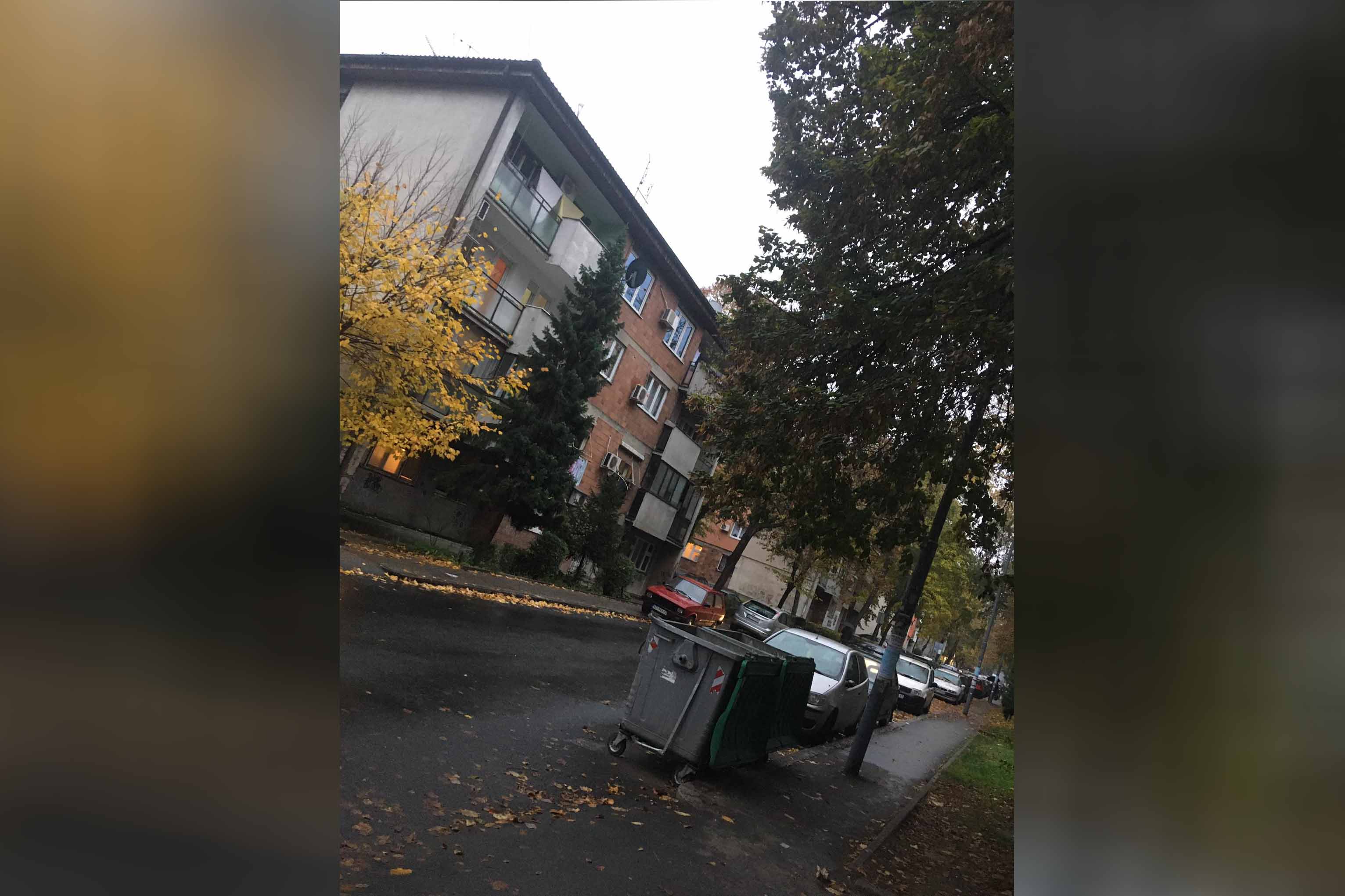 Karaburma Foto: Nova.rs