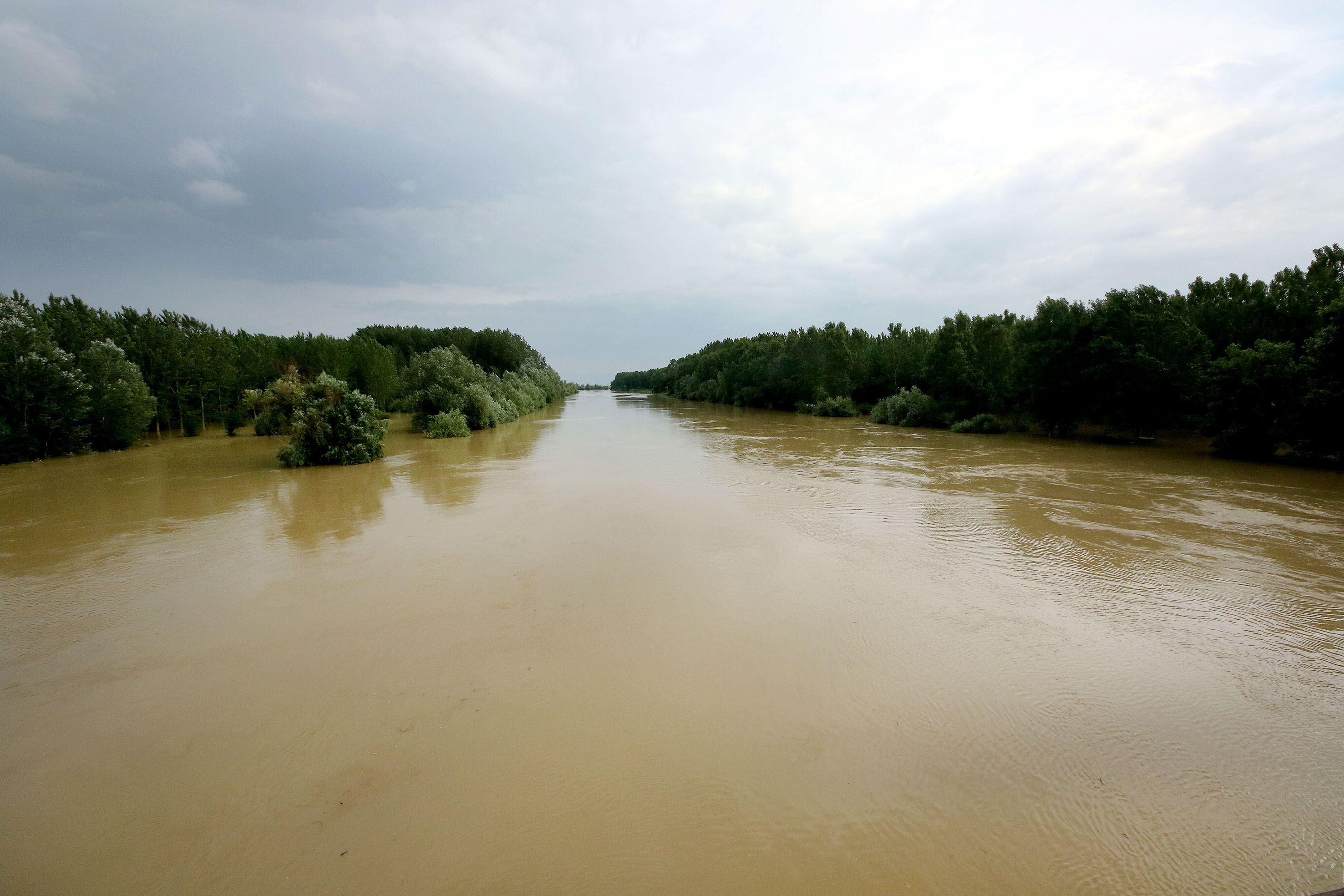 IZLIVANJE TAMISA Tamiš