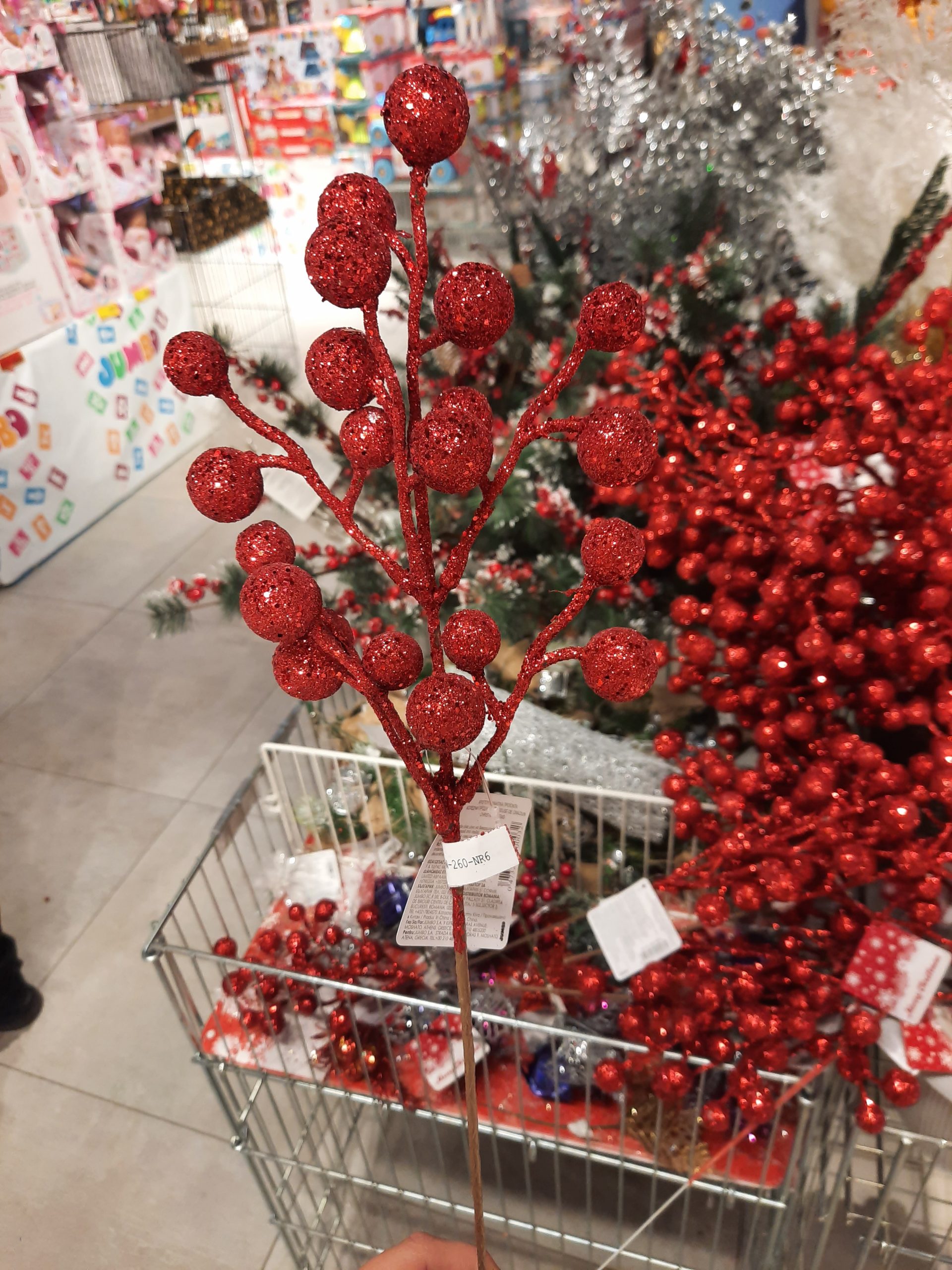 20201127_141915-scaled.jpg
