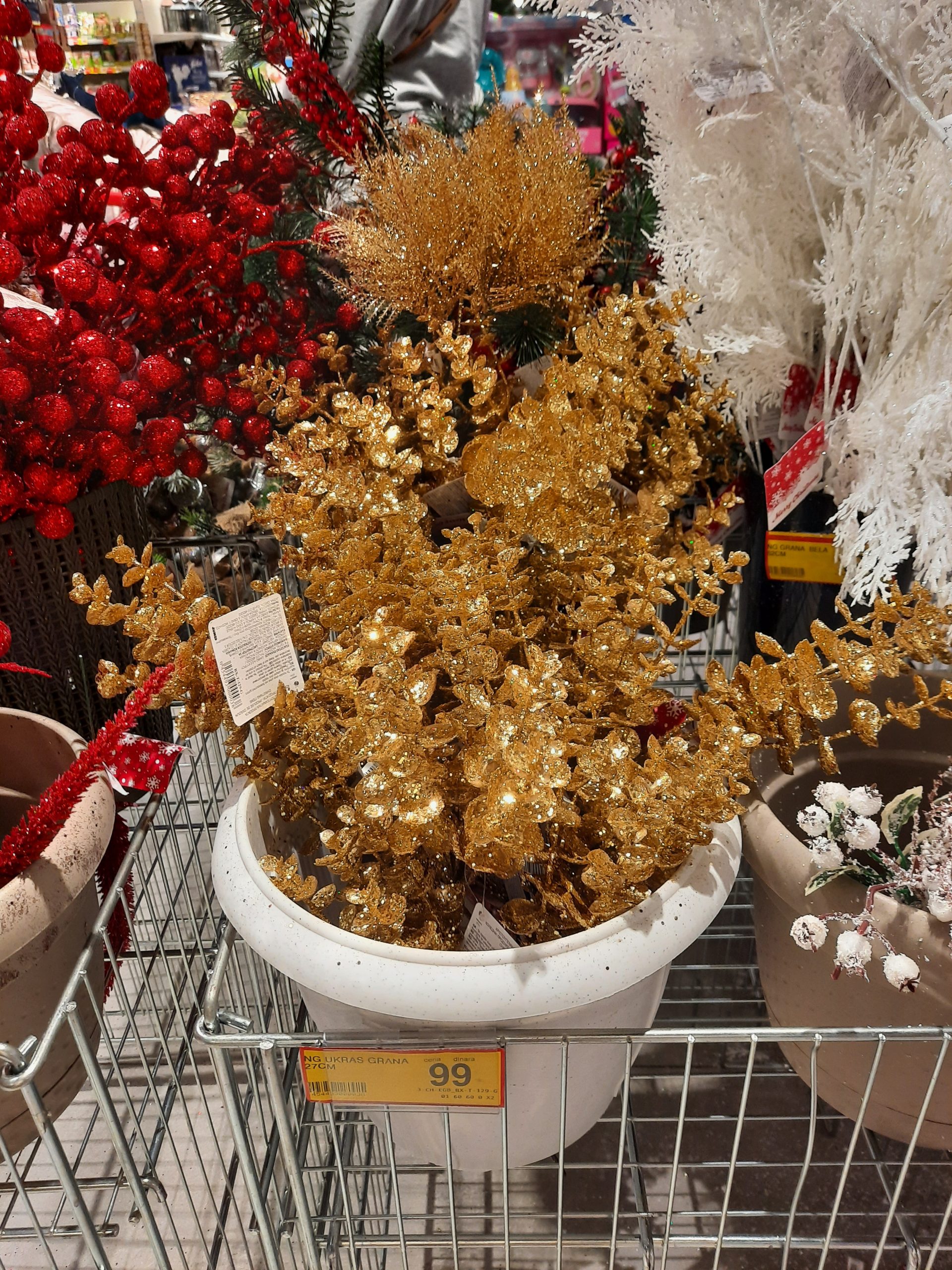 20201127_141935-scaled.jpg