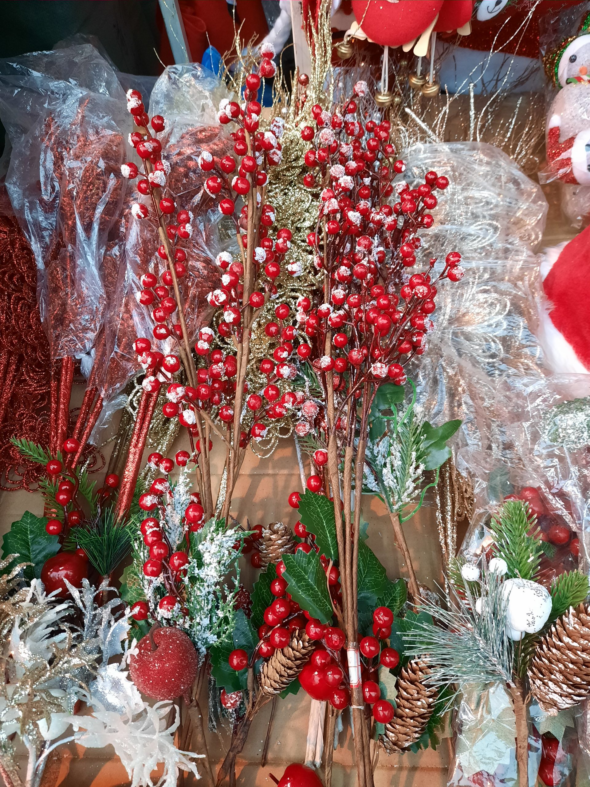 20201126_151214-scaled.jpg