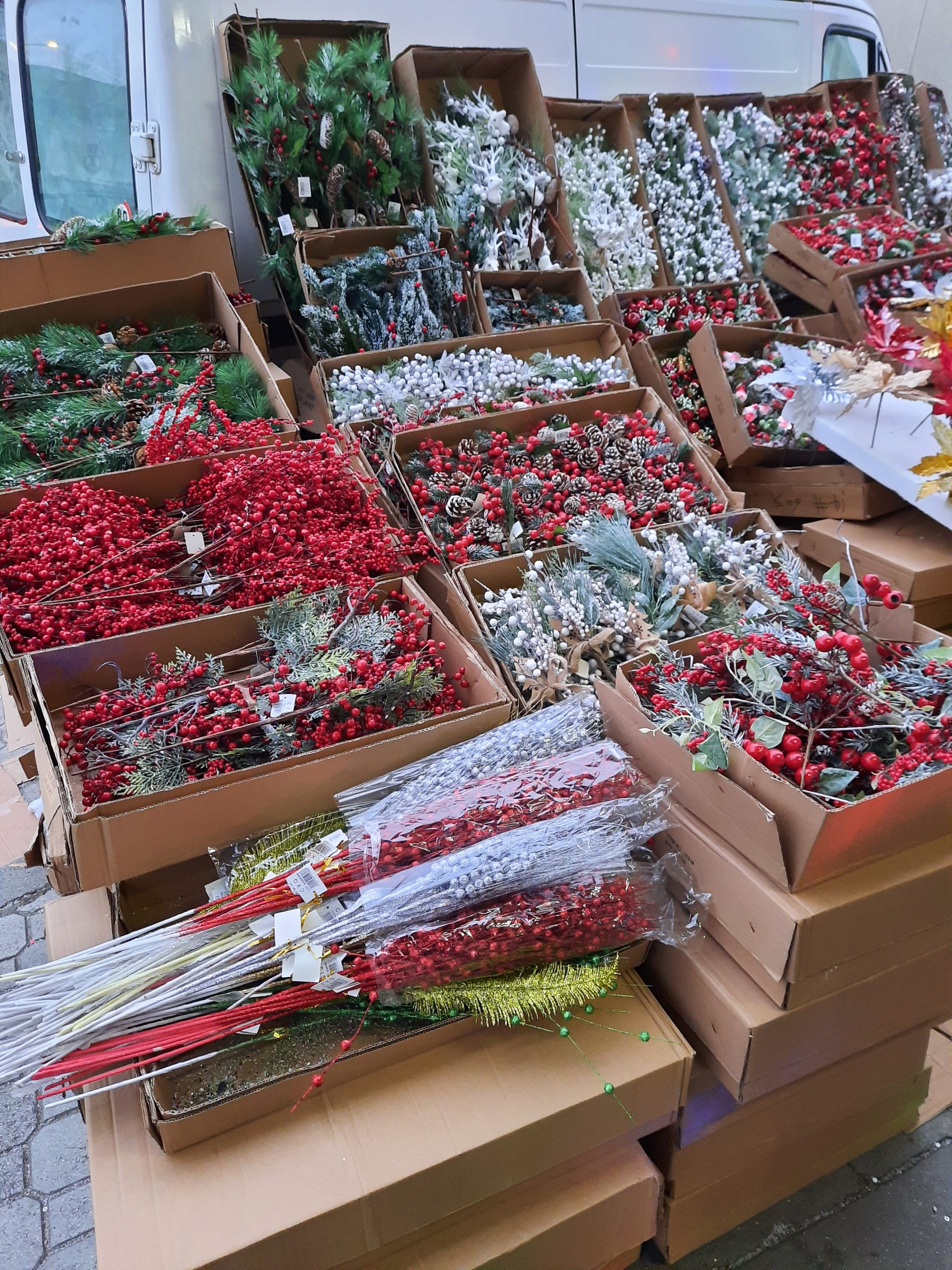 20201126_154927-scaled.jpg