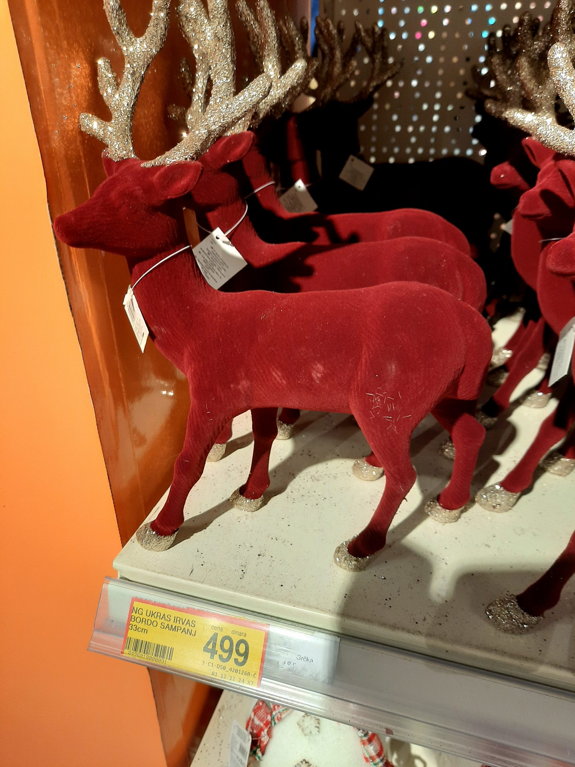 20201127_141843-scaled.jpg