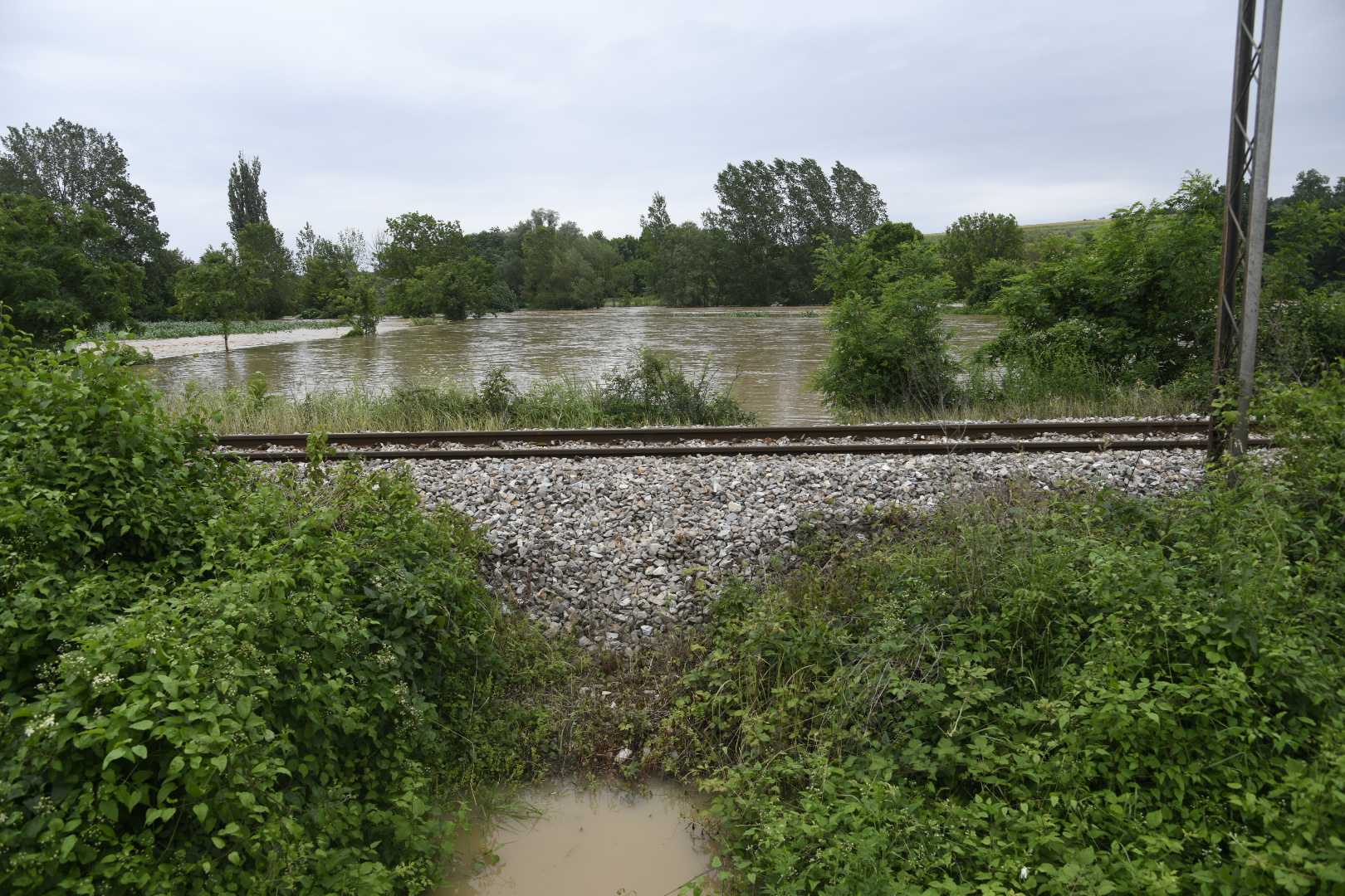 Selo Slovac 23.06.2020. Poplave, poplava Foto: Nemanja Jovanović/Nova.rs
