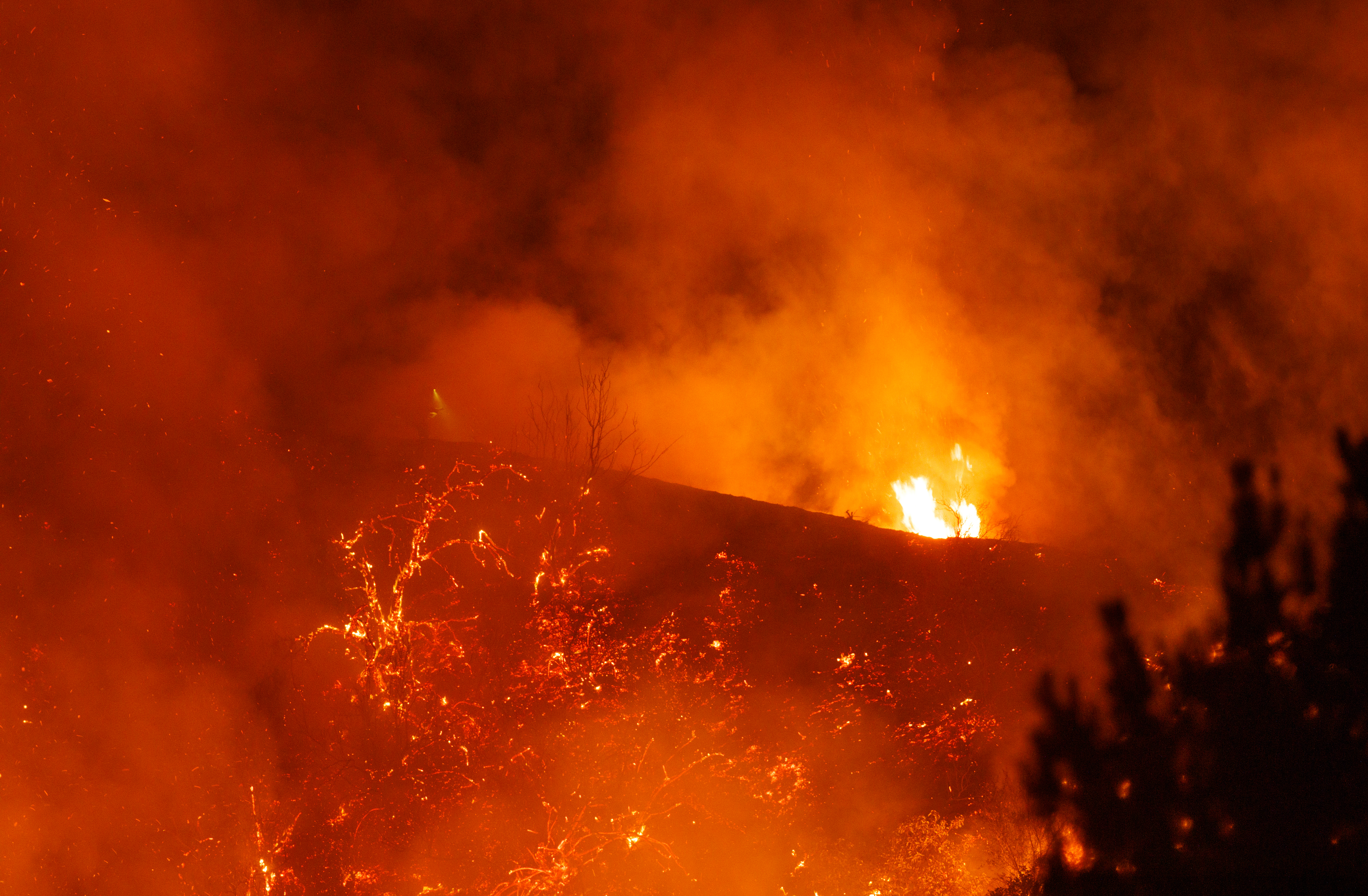 Bobcat fire burns in California