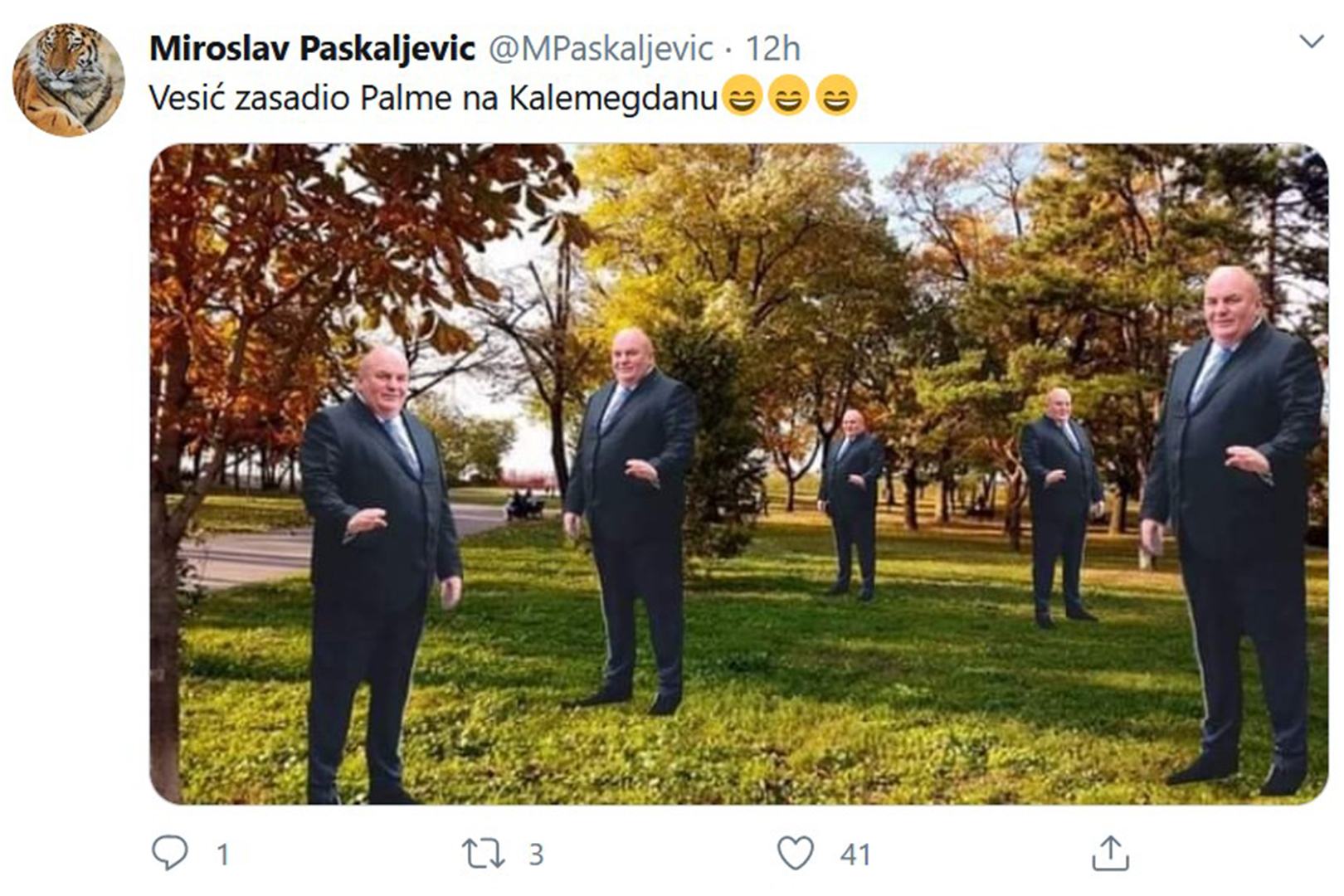 Palme na Kalemegdanu mim