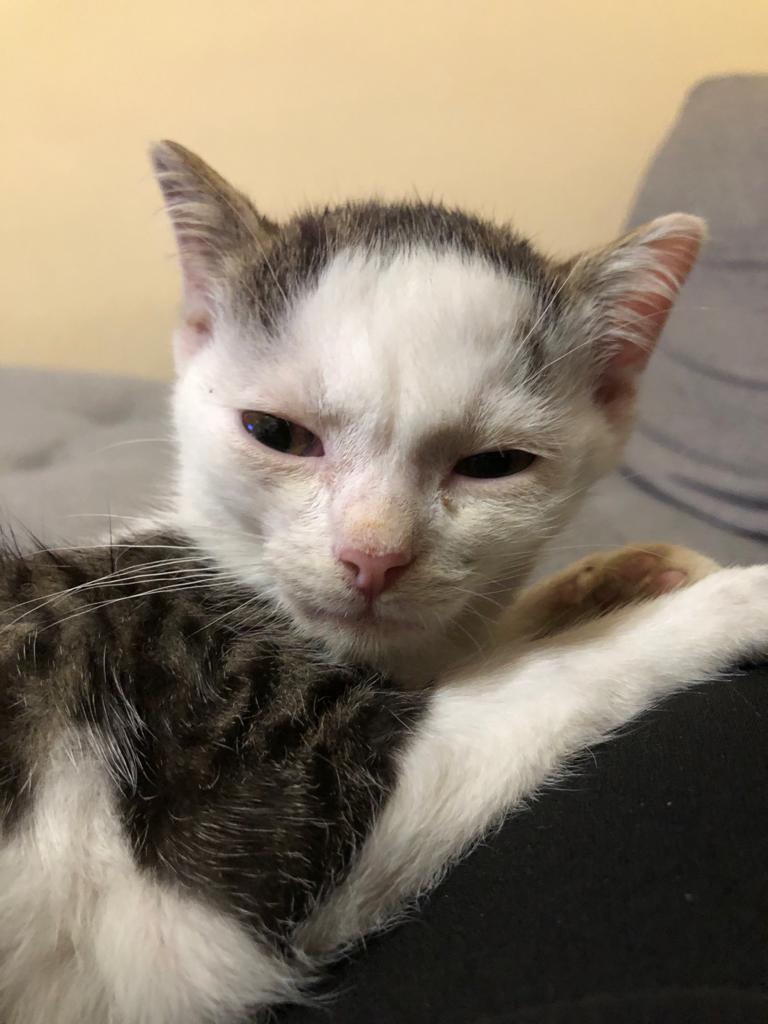 IMG-20201002-WA0009 - Copy