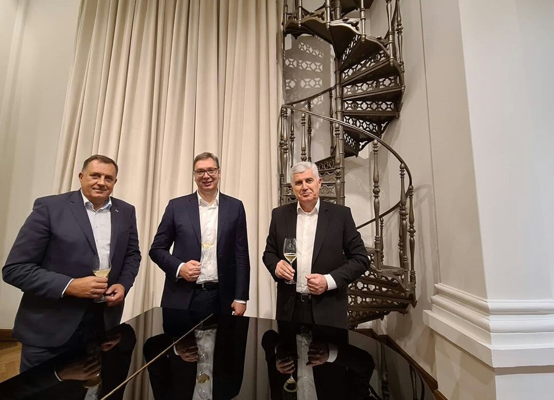 Kako Vučić drži čašu; Foto: Instagram