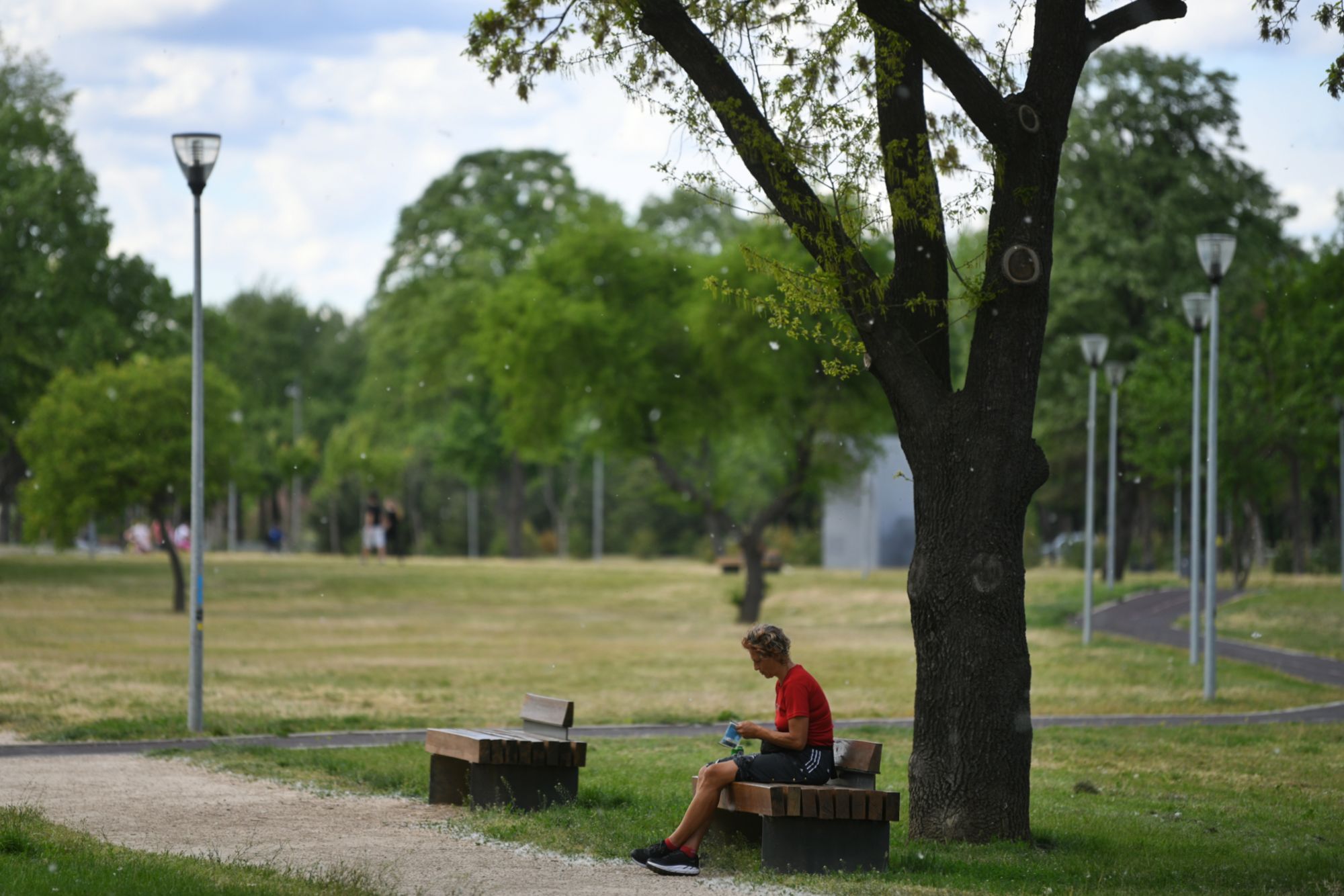 Beograd 29.04.2020. Park prijateljstva lepo vreme Foto:Filip Krainčanić