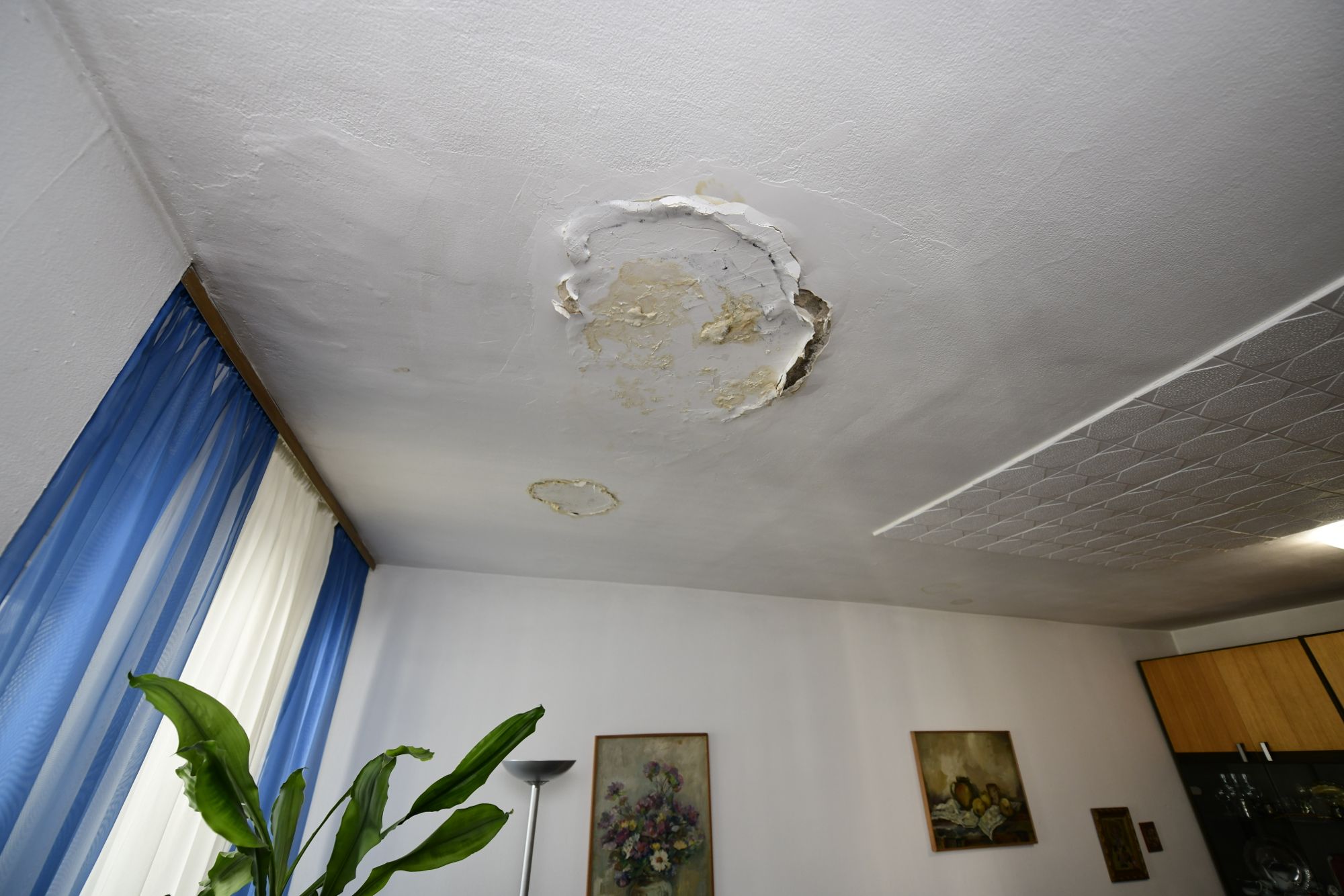 Beograd 28.06.2020. Ankica Milenković, žena, supruga poznatog arhitekte Foto: Goran Srdanov/Nova.rs