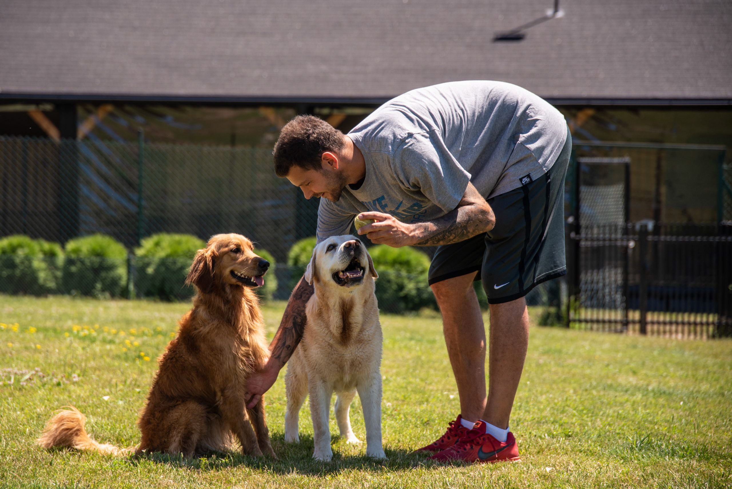 09.07.20 Hotel za pse + intervju Vladimir Micov