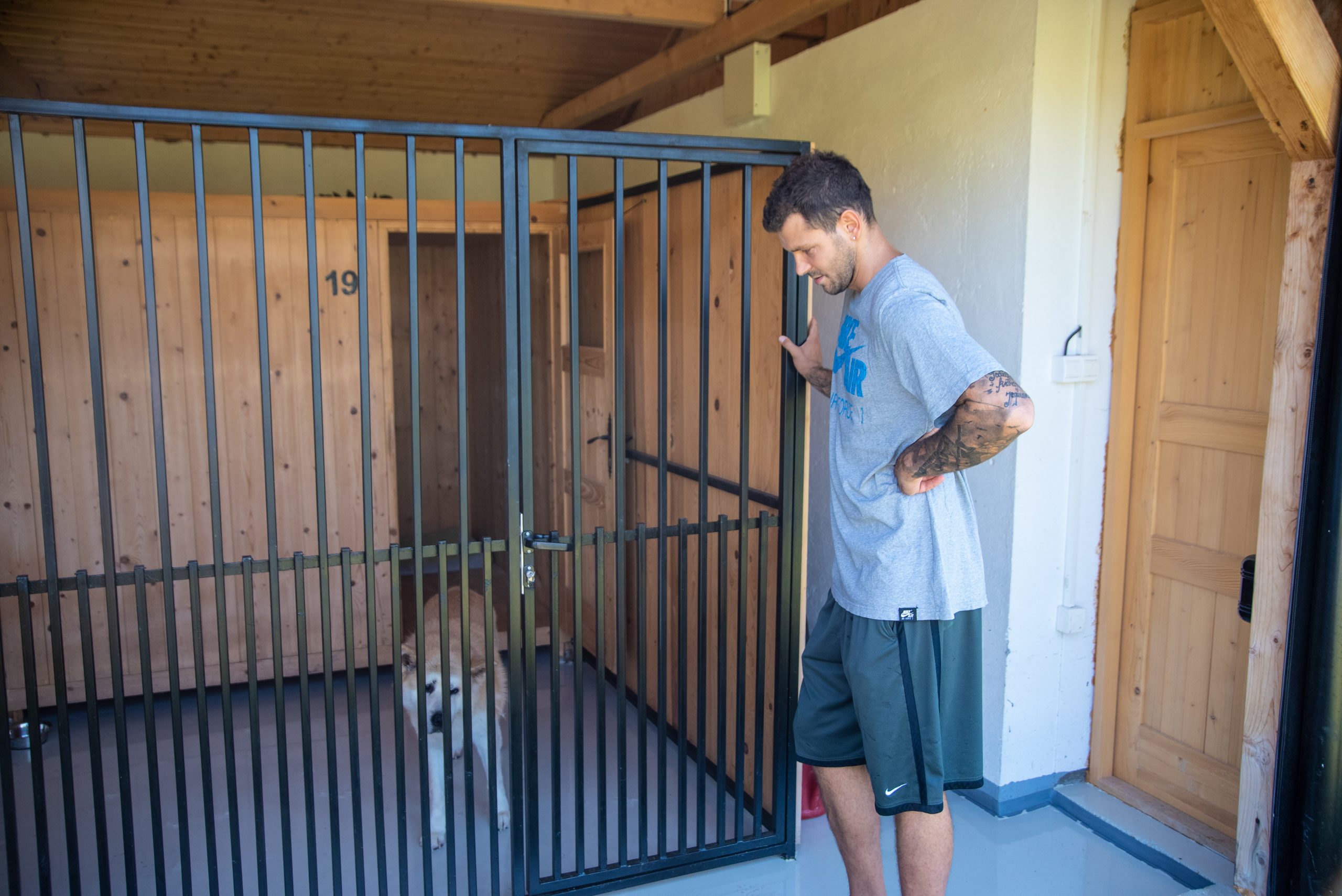 09.07.20 Hotel za pse + intervju Vladimir Micov