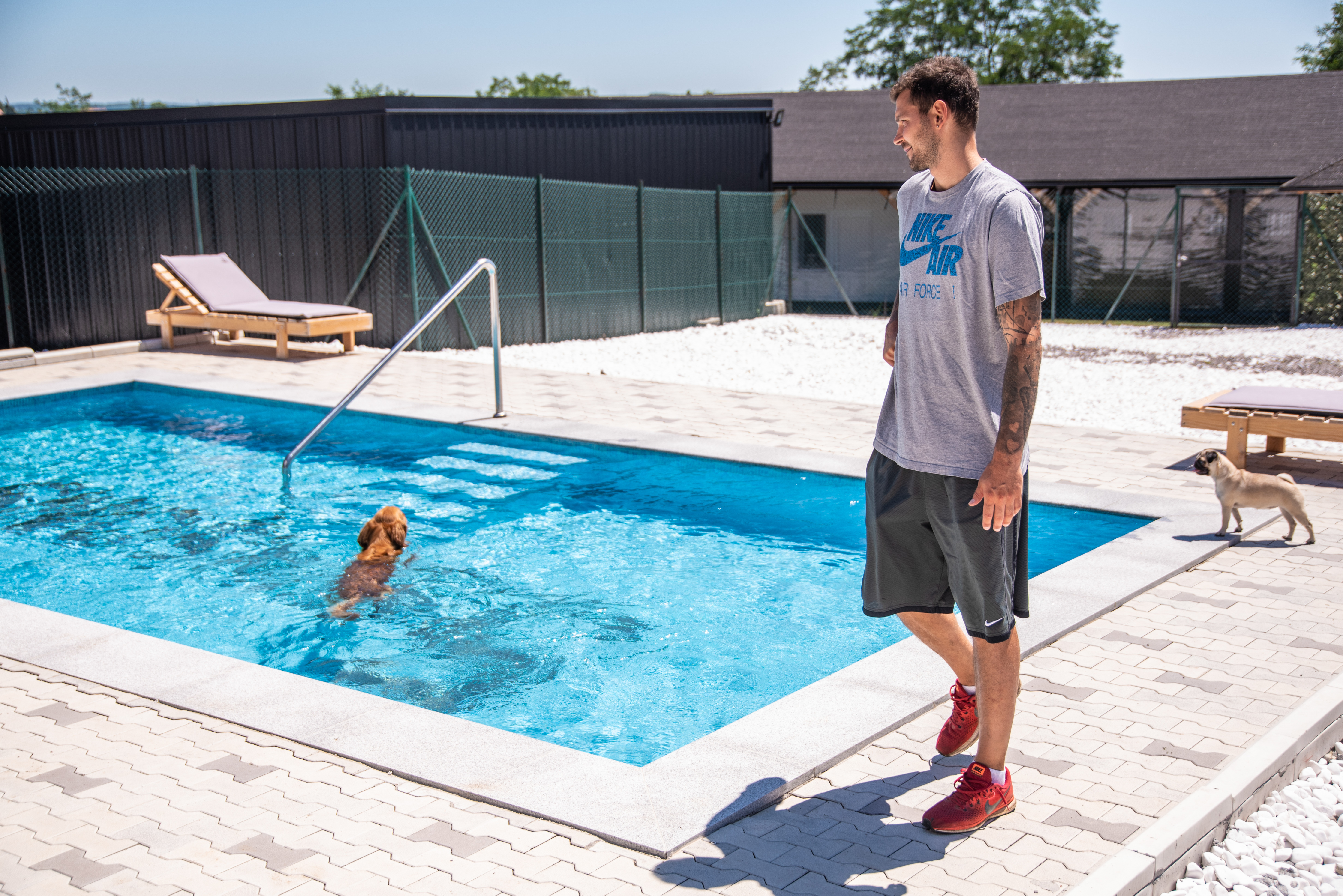 09.07.20 Hotel za pse + intervju Vladimir Micov