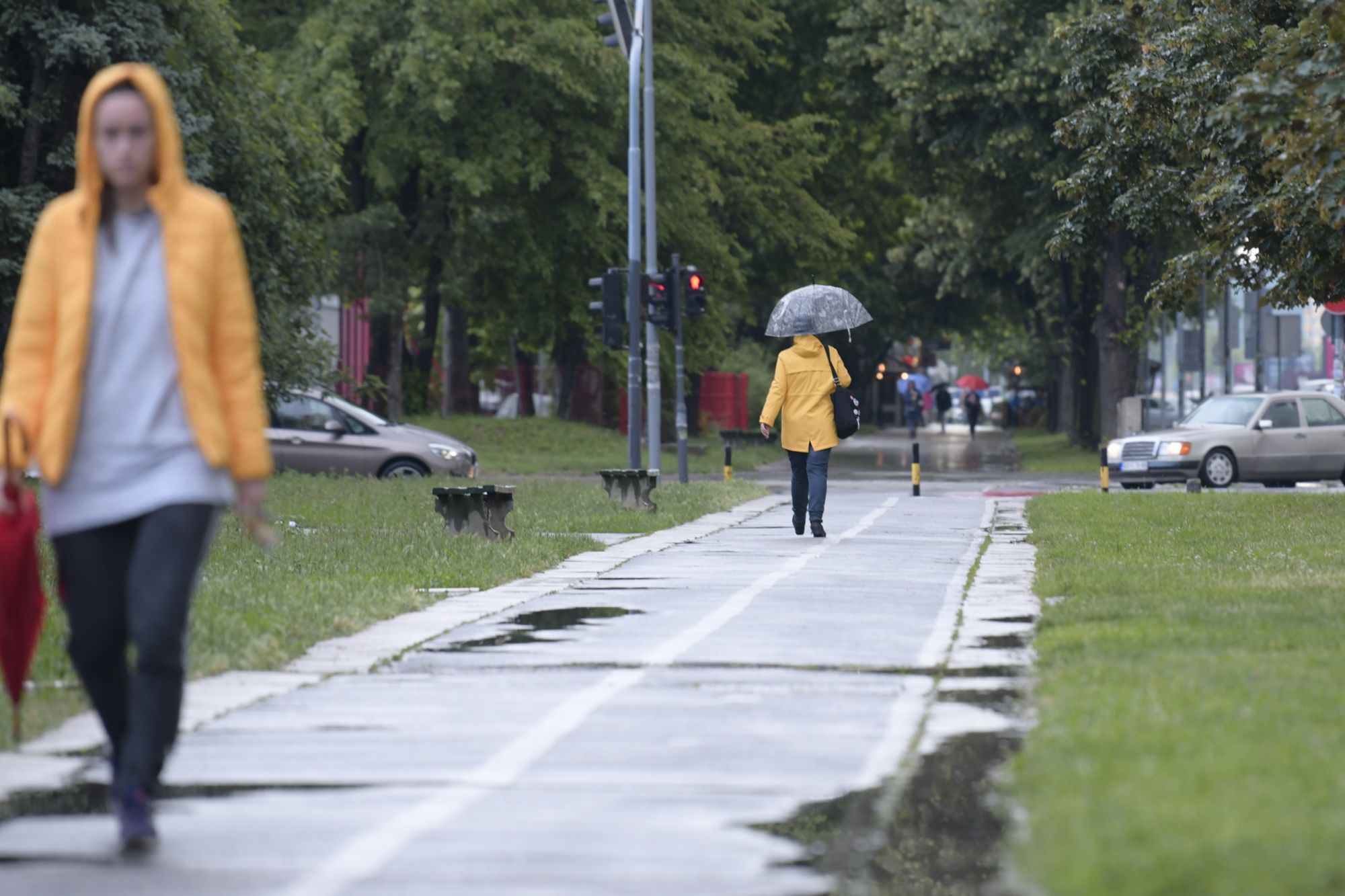 Beograd 01.06.2020. Kisa pljusak nevreme vreme Foto:Goran Srdanov/Nova.rs