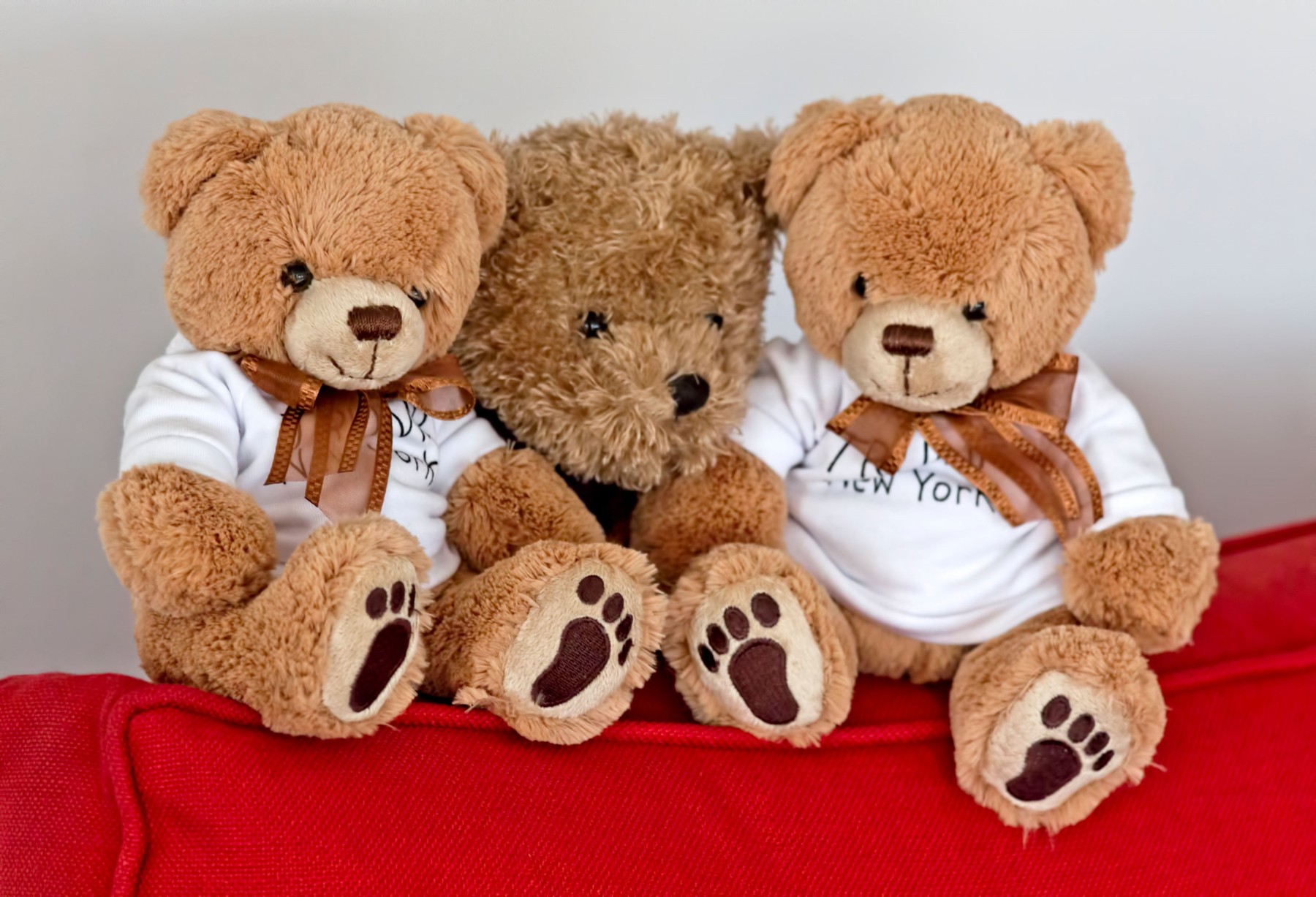Collection of cuddly teddy bears in a seated position on a red couch.,Image: 190007999, License: Rights-managed, Restrictions: , Model Release: no, Credit line: Mieneke Andeweg-van Rijn / Alamy / Alamy / Profimedia