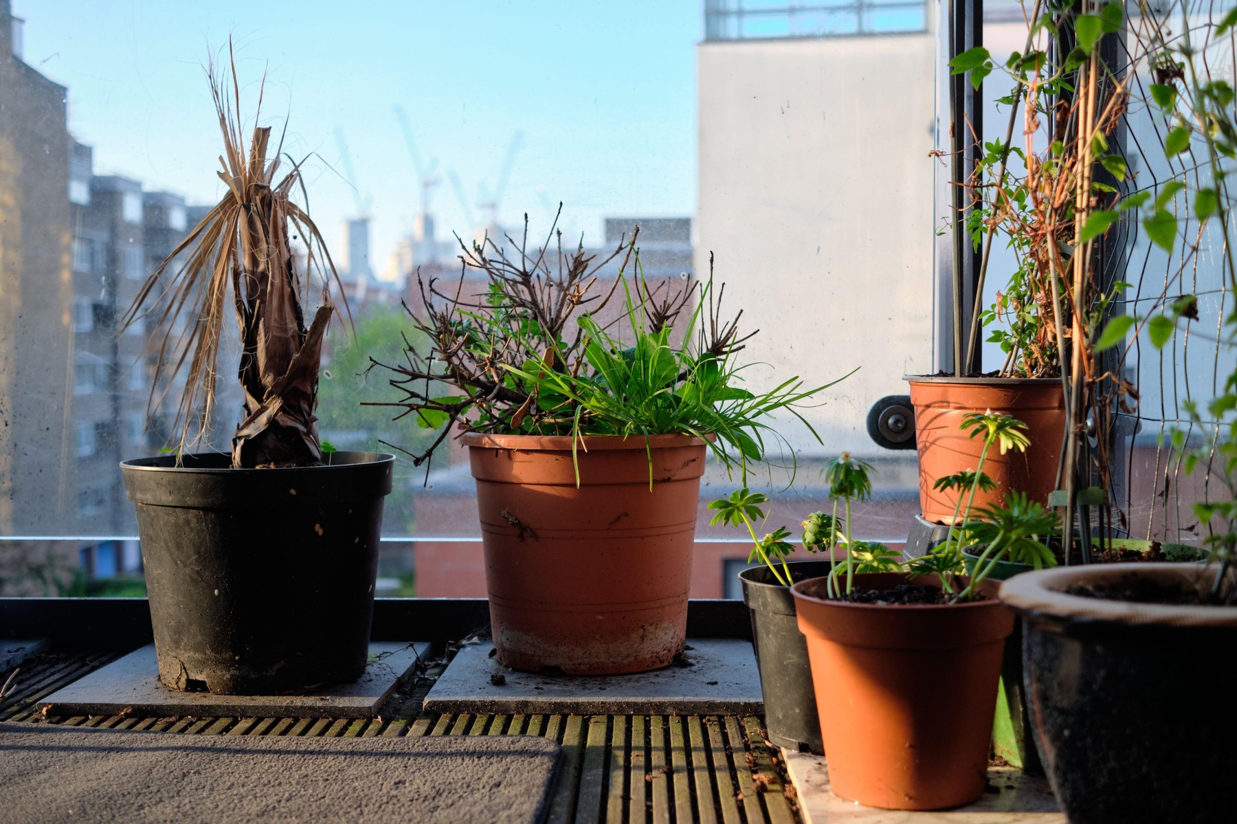 Image: 514011134, License: Royalty-free, Restrictions: , Model Release: no, Credit line: London Time / Alamy / Alamy / Profimedia