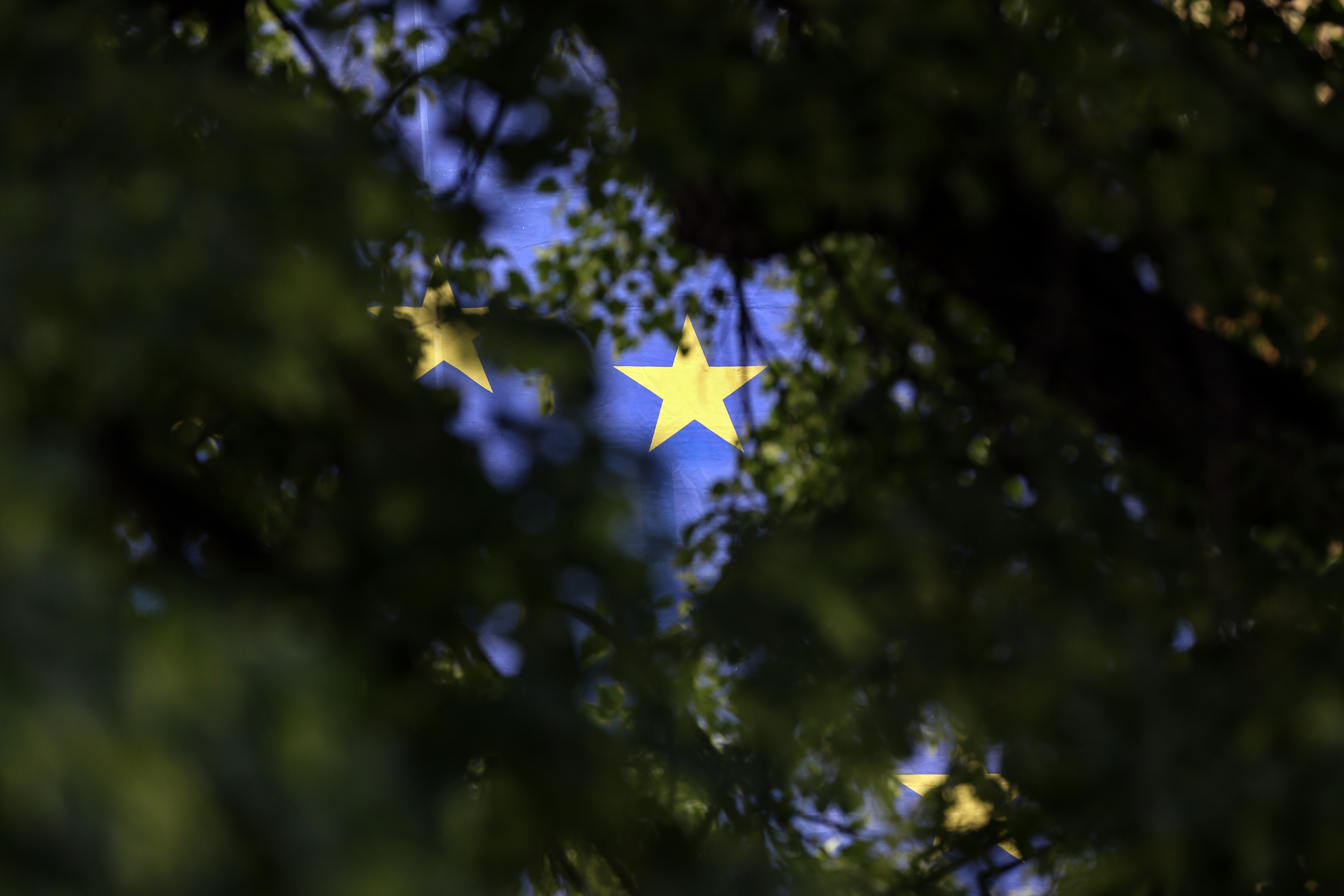 Evropska unija EU