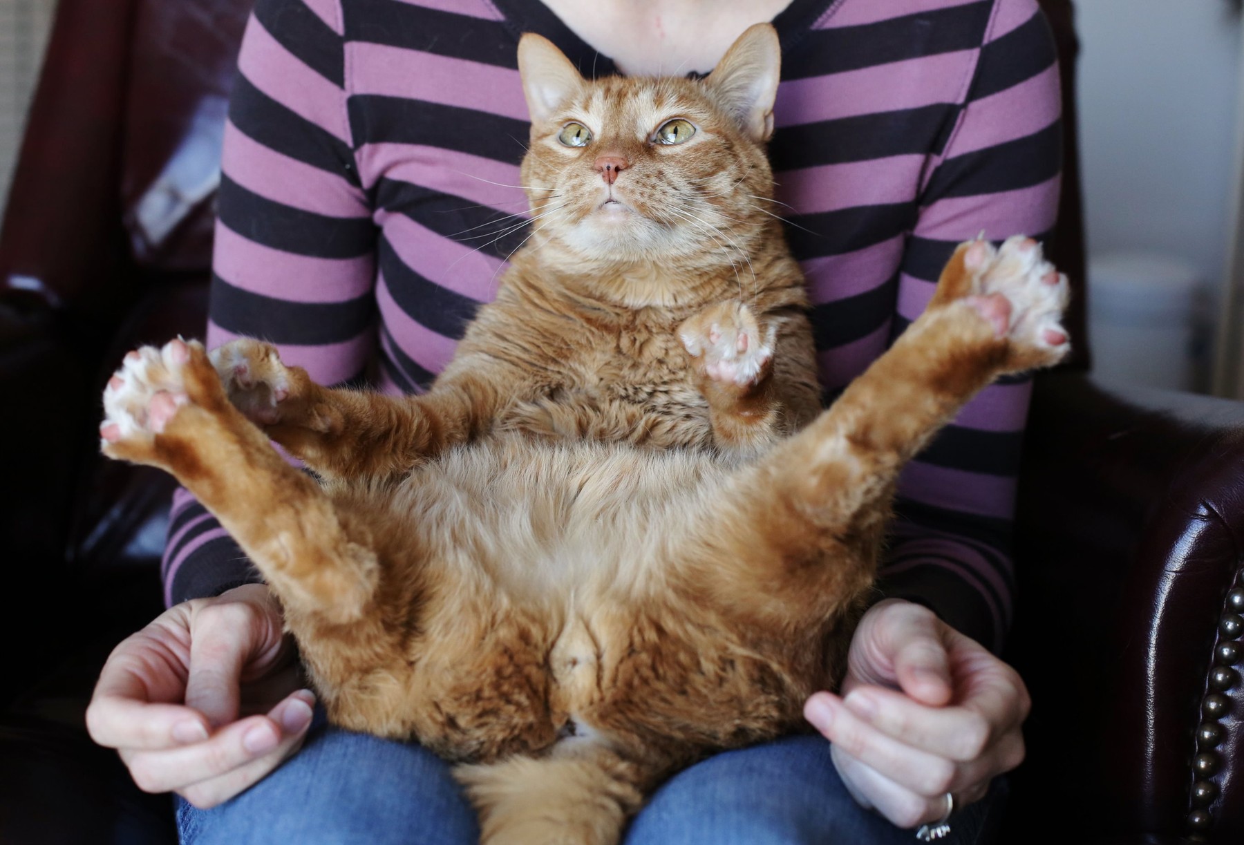 Image: 190080773, License: Rights-managed, Restrictions: , Model Release: yes, Credit line: Gina Kelly / Alamy / Alamy / Profimedia