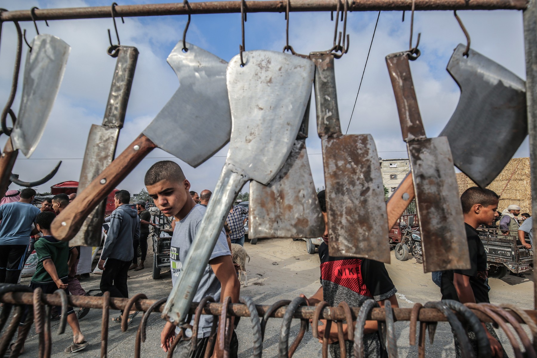 profimedia-0546981874