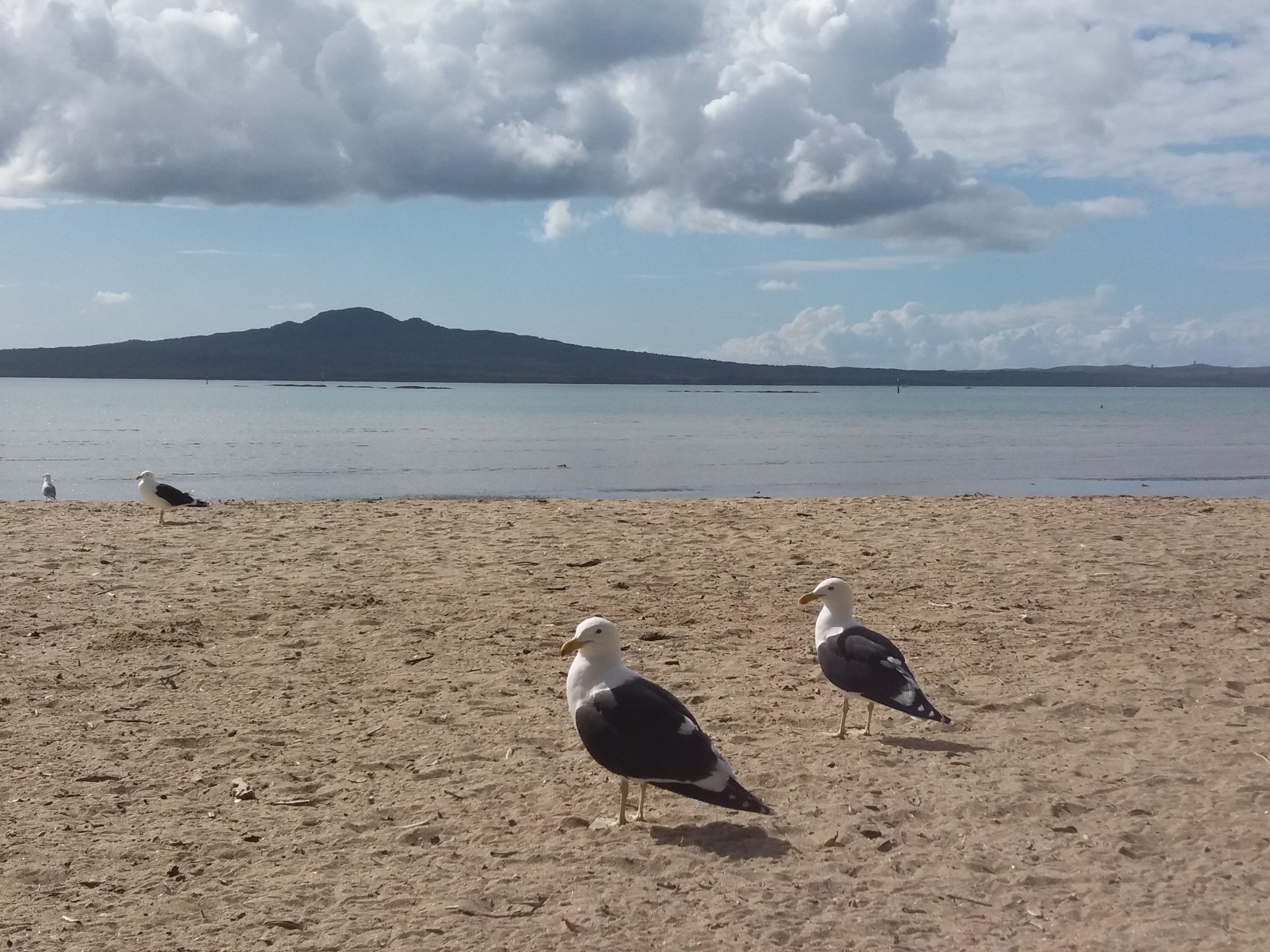 9-Plaža-u-Oklandu-s-pogledom-na-ostrvo-Rangitoto-scaled.jpg