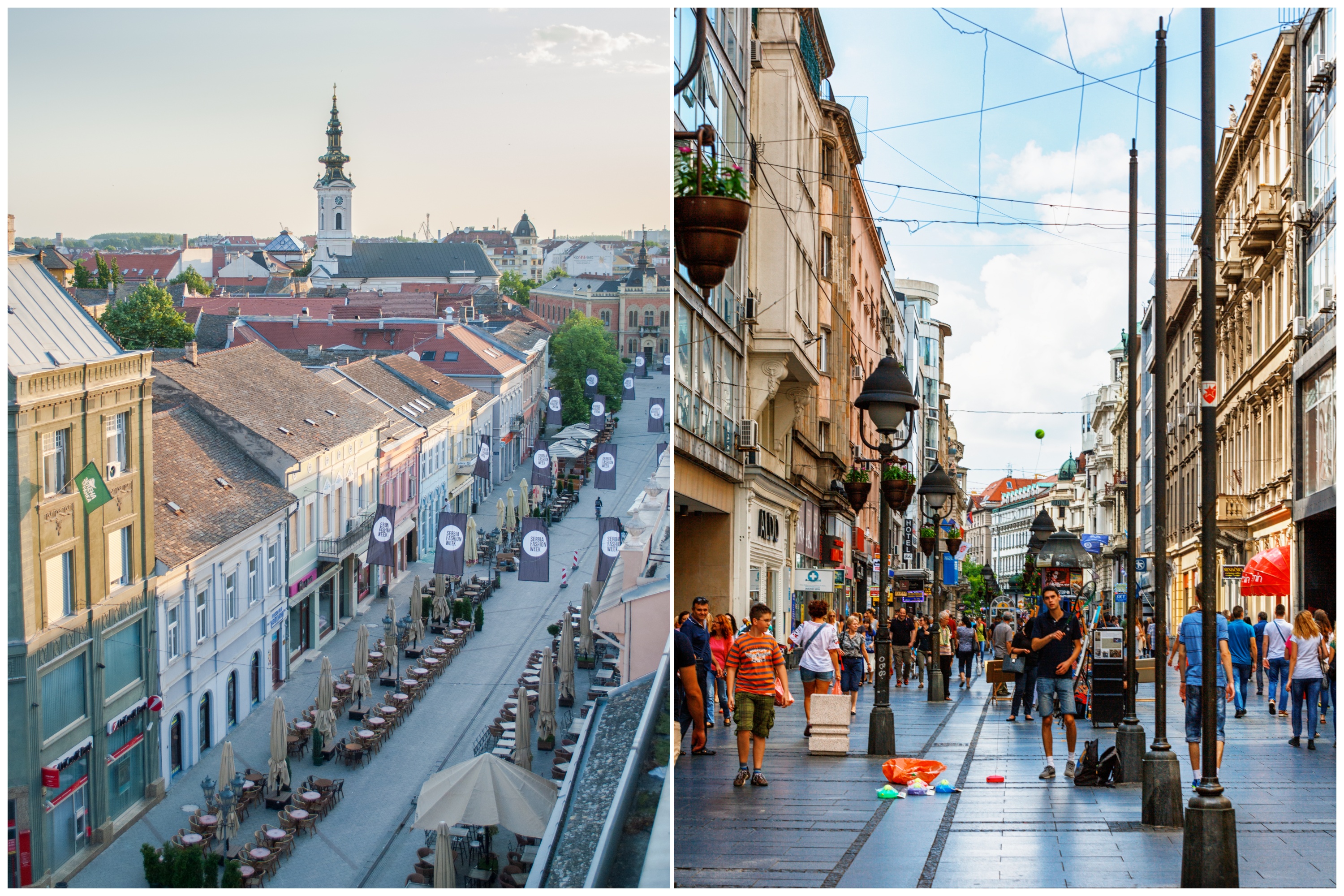 zmaj jovina vs knez mihailova