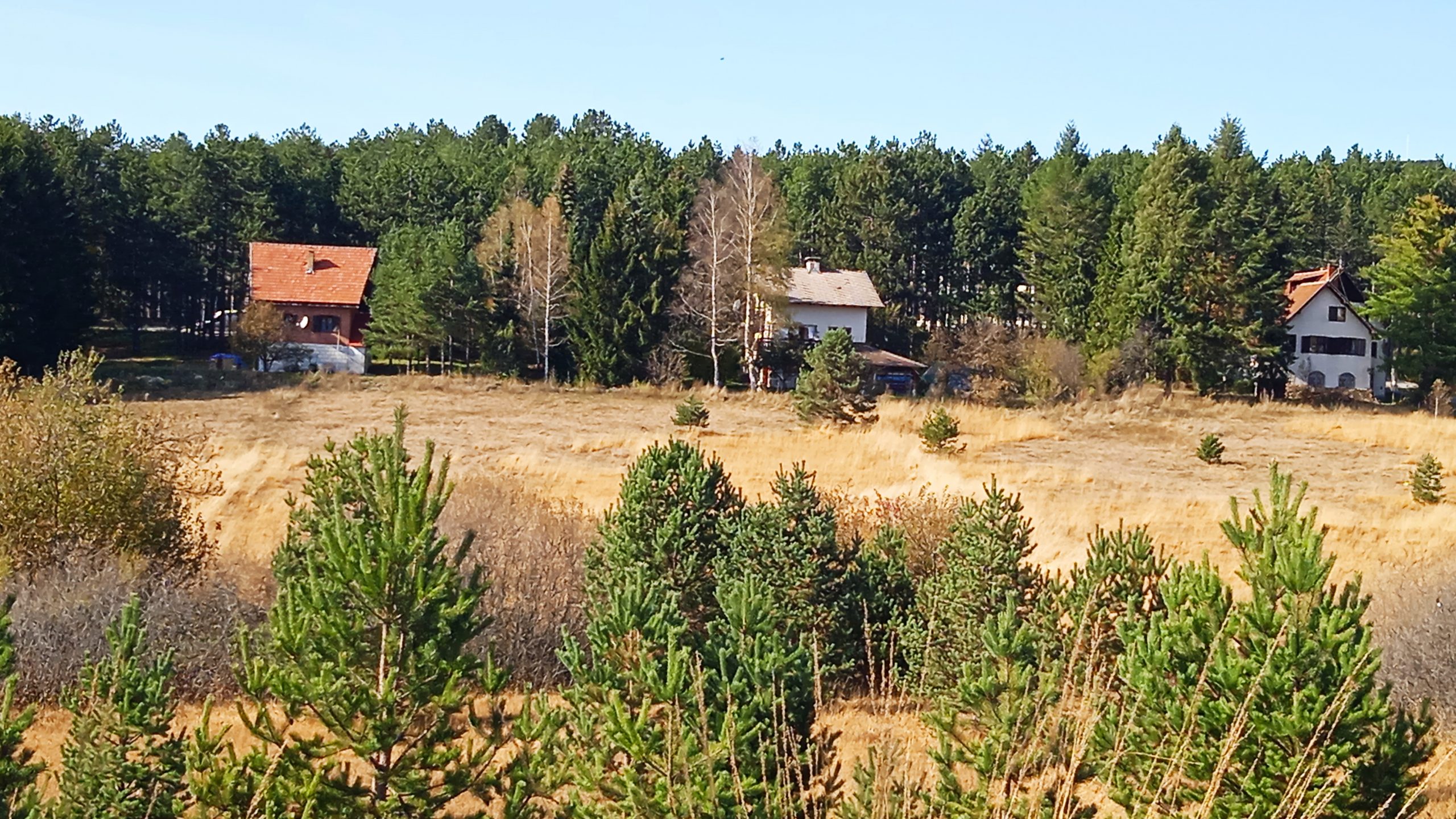 Zlatibor 21.12.2020. Zimovanje, cene na Zlatiboru, zima Foto: Slavica Panić/Nova.rs