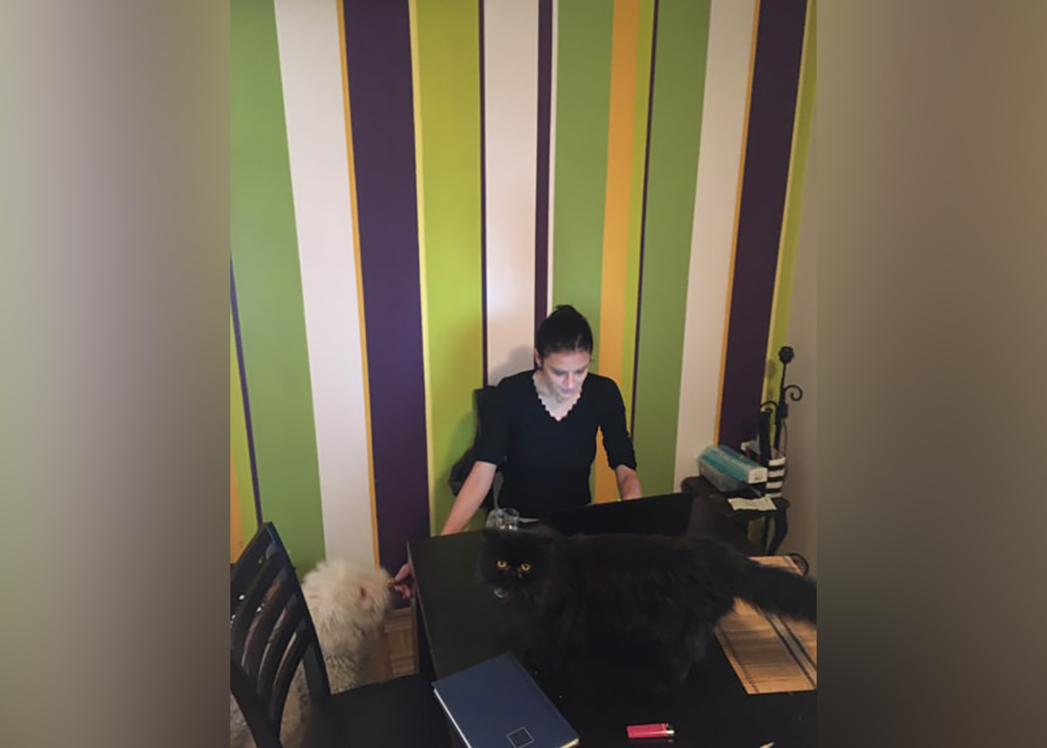 Milica Čule Autoportret zaposleni Nova.rs rad od kuće, izolacija, vanredno stanje, koronavirus, zabrana kretanja, socijalna distanca