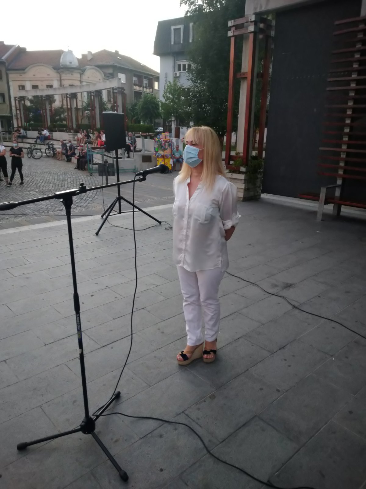 Požega 10.07.2020. Protest, Ljiljana Milovančević, majka povredjenog novinara Vojislava Milovančevića Foto: Privatna arhiva