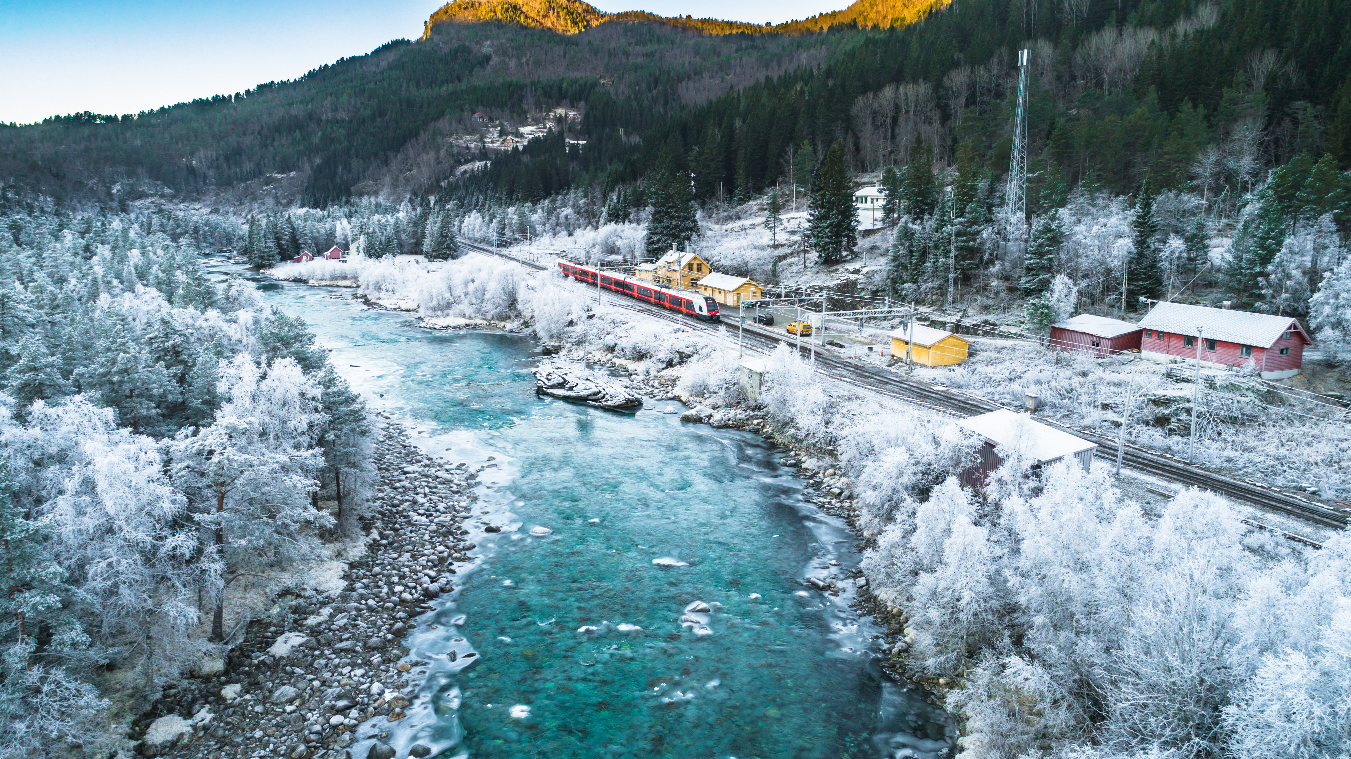 shutterstock_1239879604