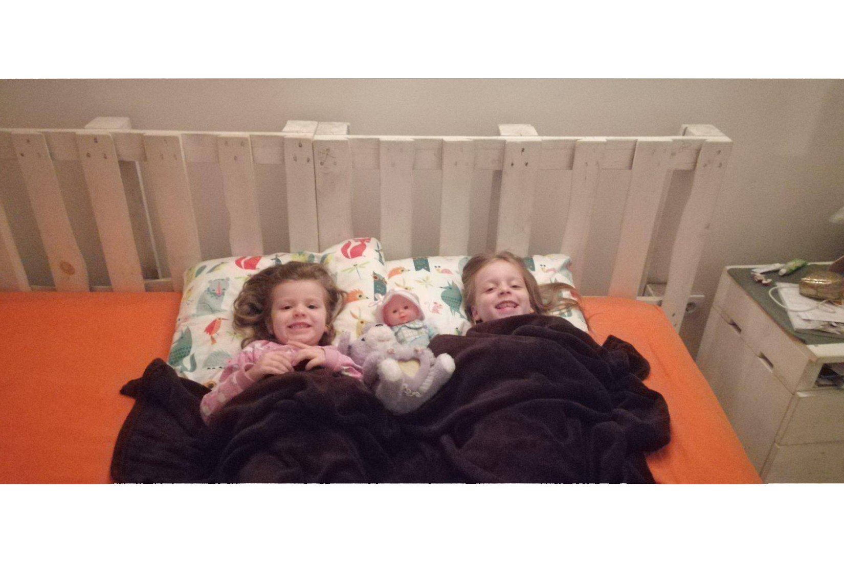 Jasmina Gavrilov Dražić