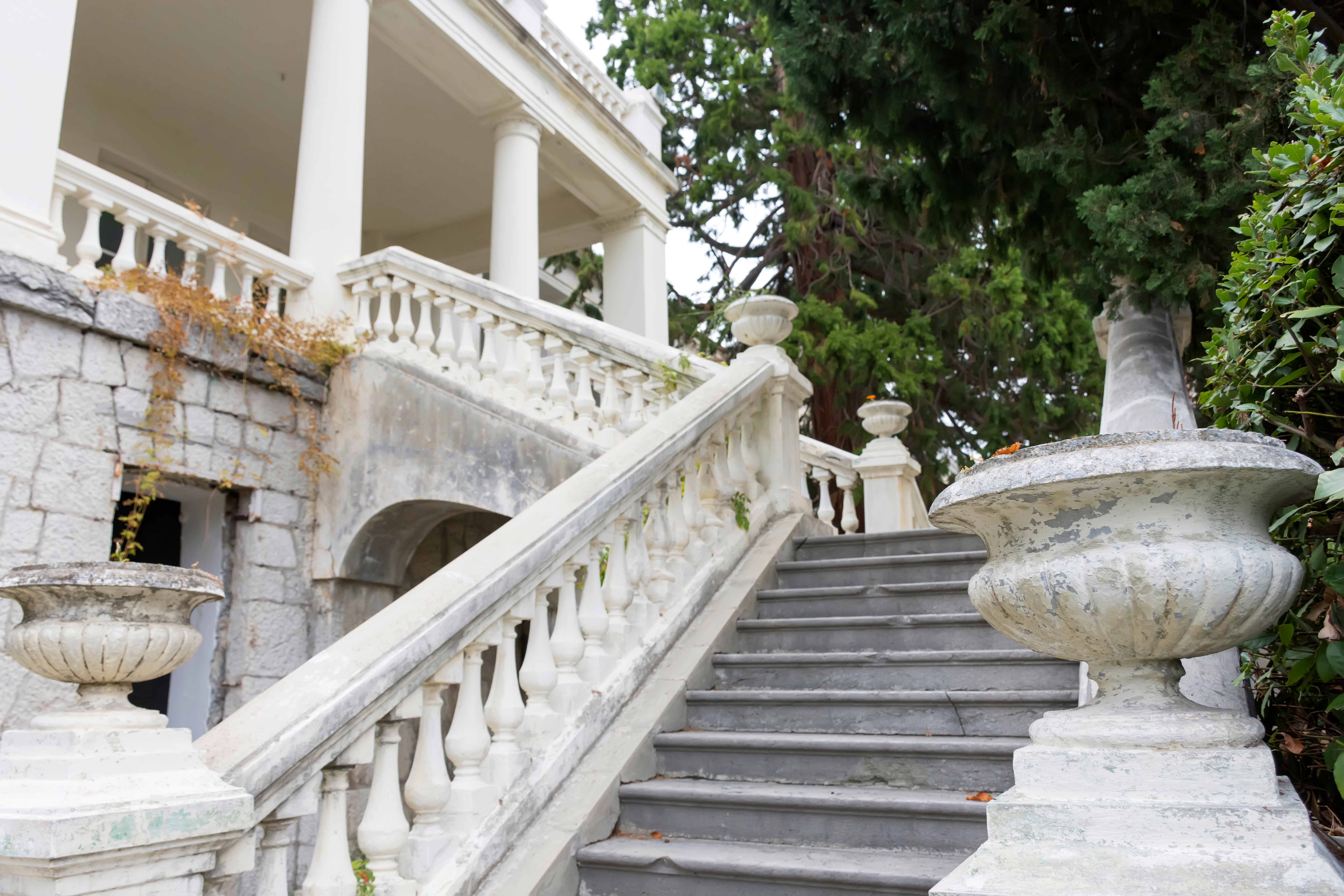 shutterstock_1235637460