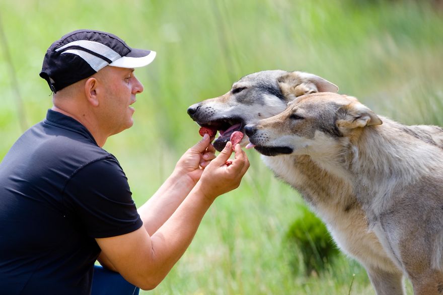 Fadil je gazda; Foto: Goran Anastasovski/Promo