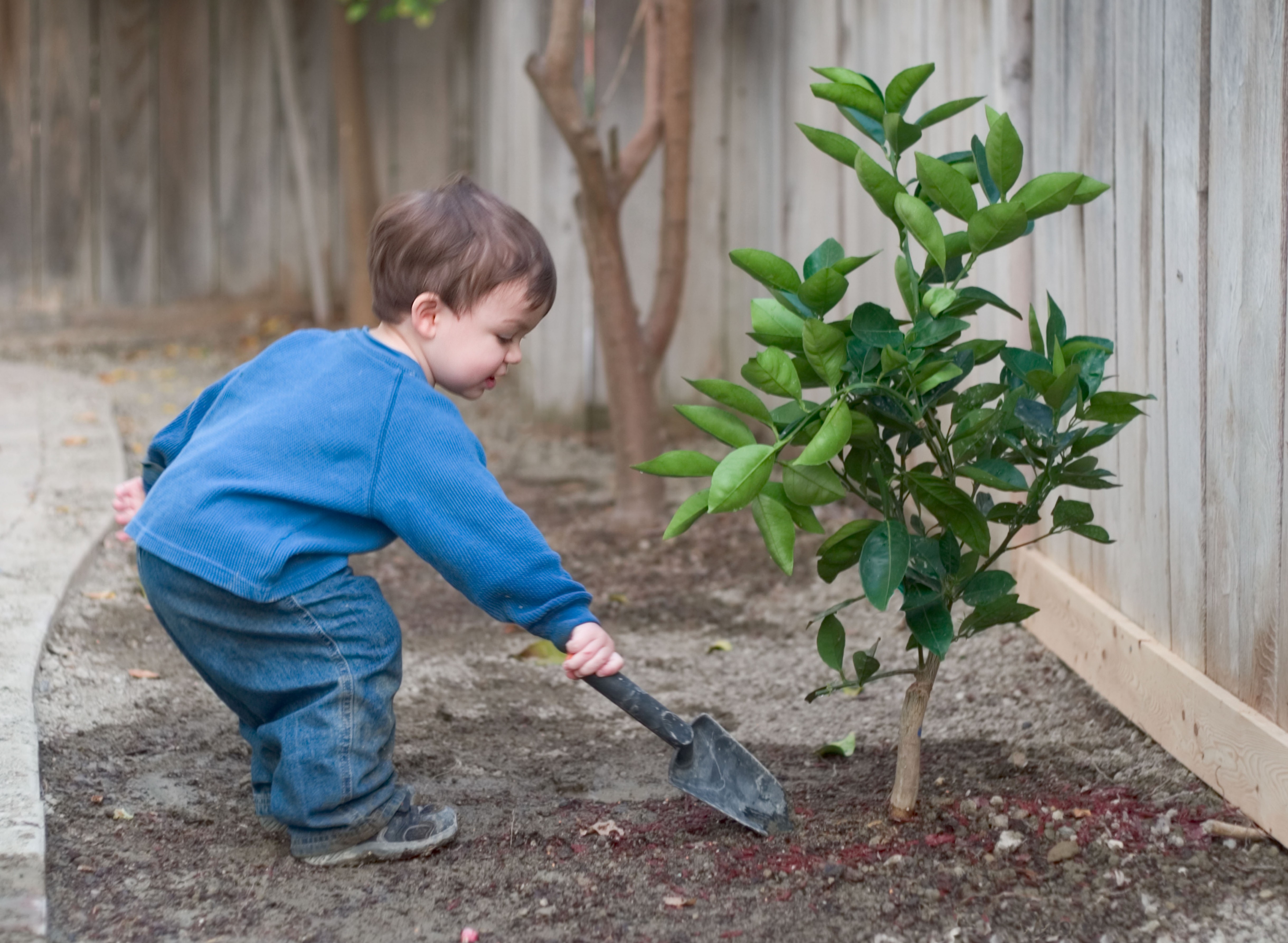 Mali doprinos planeti; Foto: Profimedia