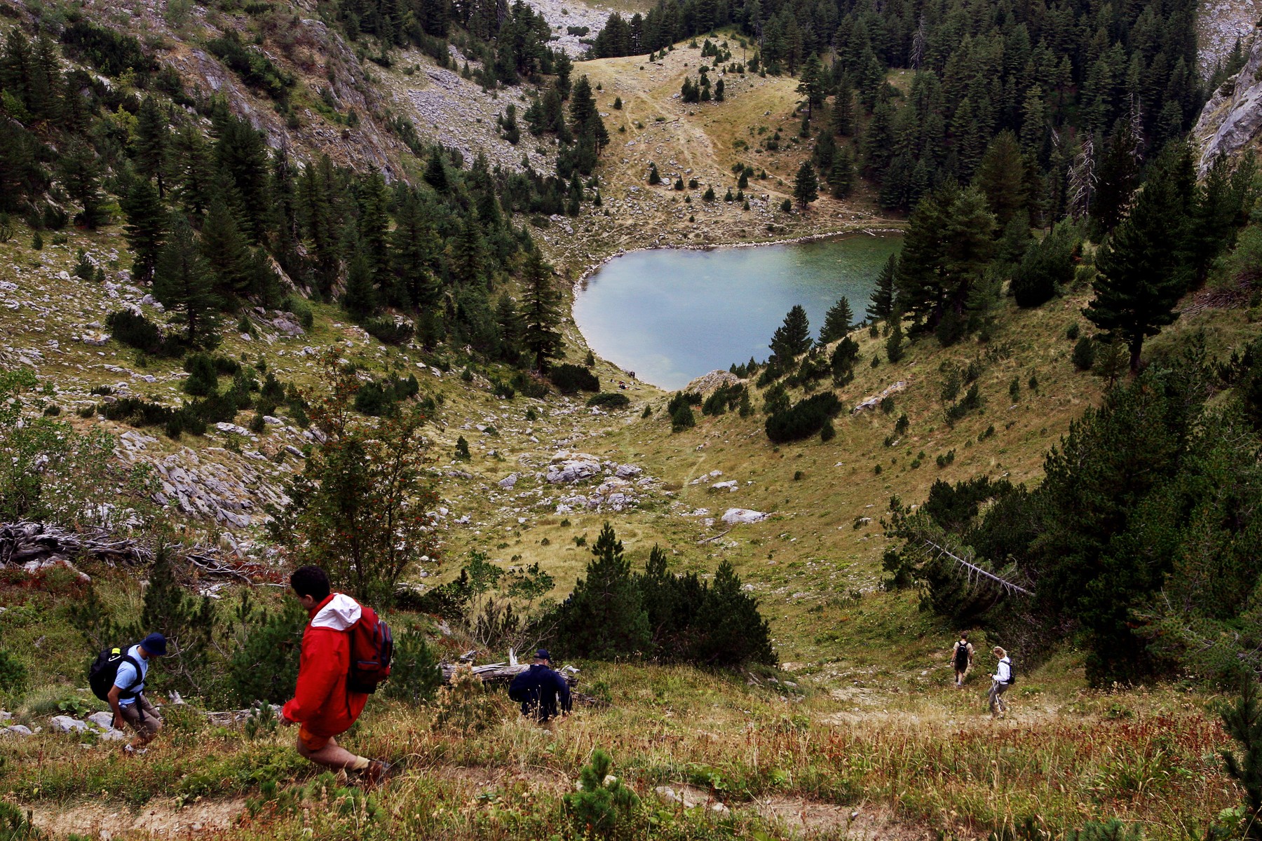 profimedia-0022340537 (1)