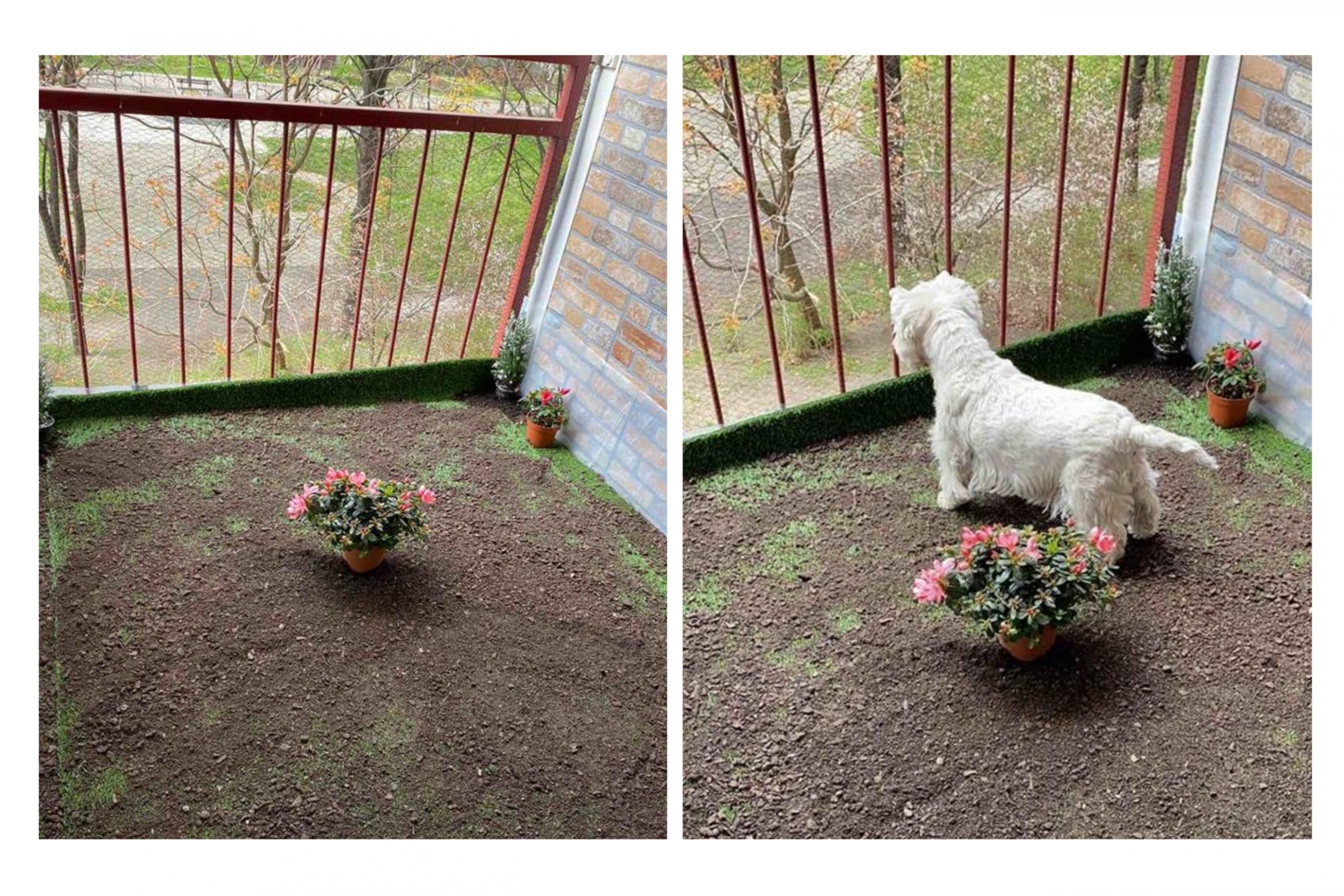 Foto: Privatna arhiva