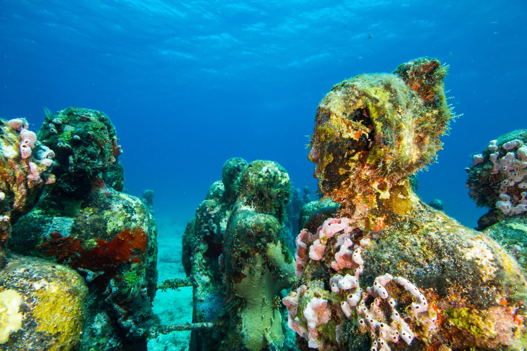 Image: 329239965, License: Rights-managed, Restrictions: , Model Release: no, Credit line: Laura Storm / Alamy / Alamy / Profimedia