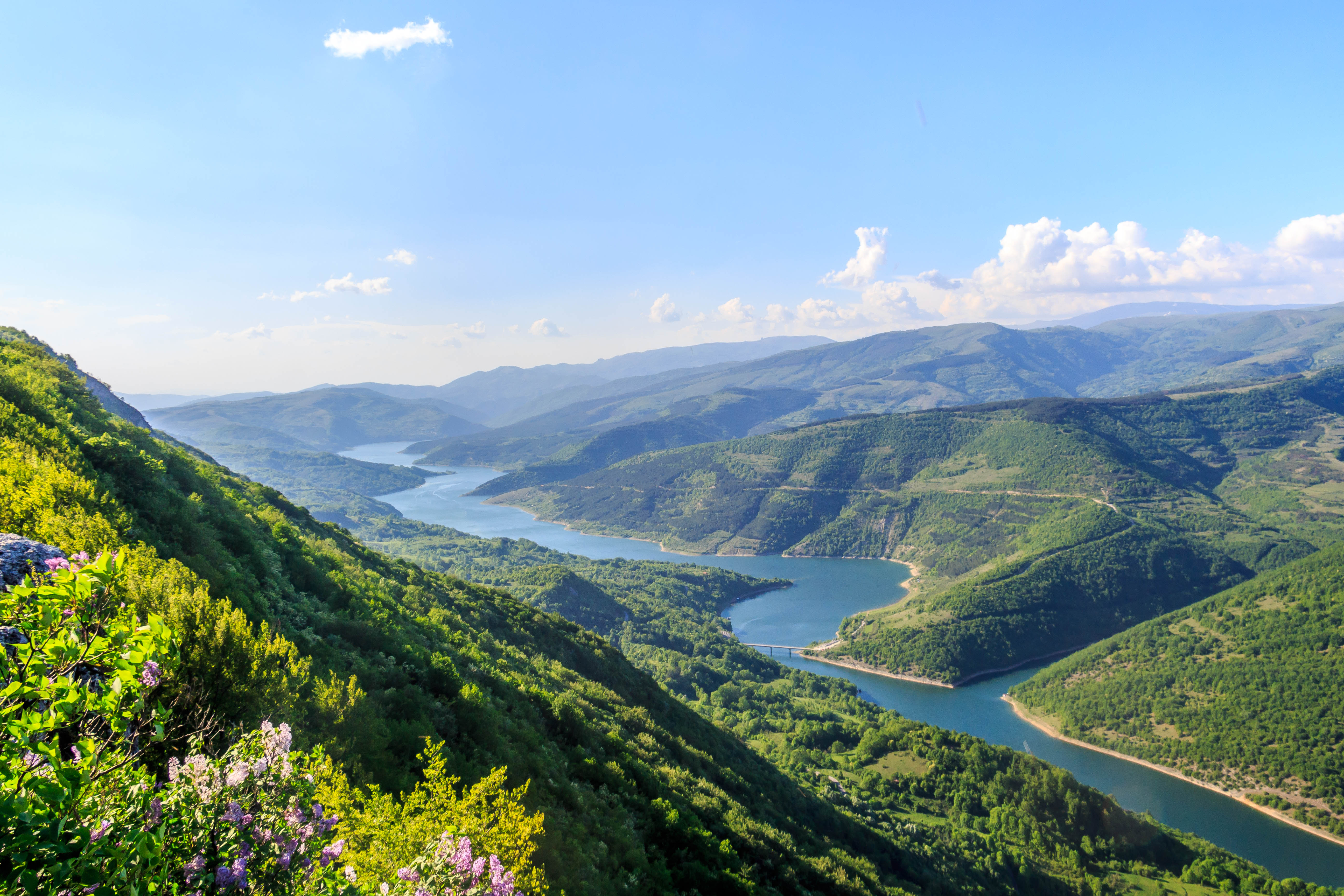 shutterstock_1086351320