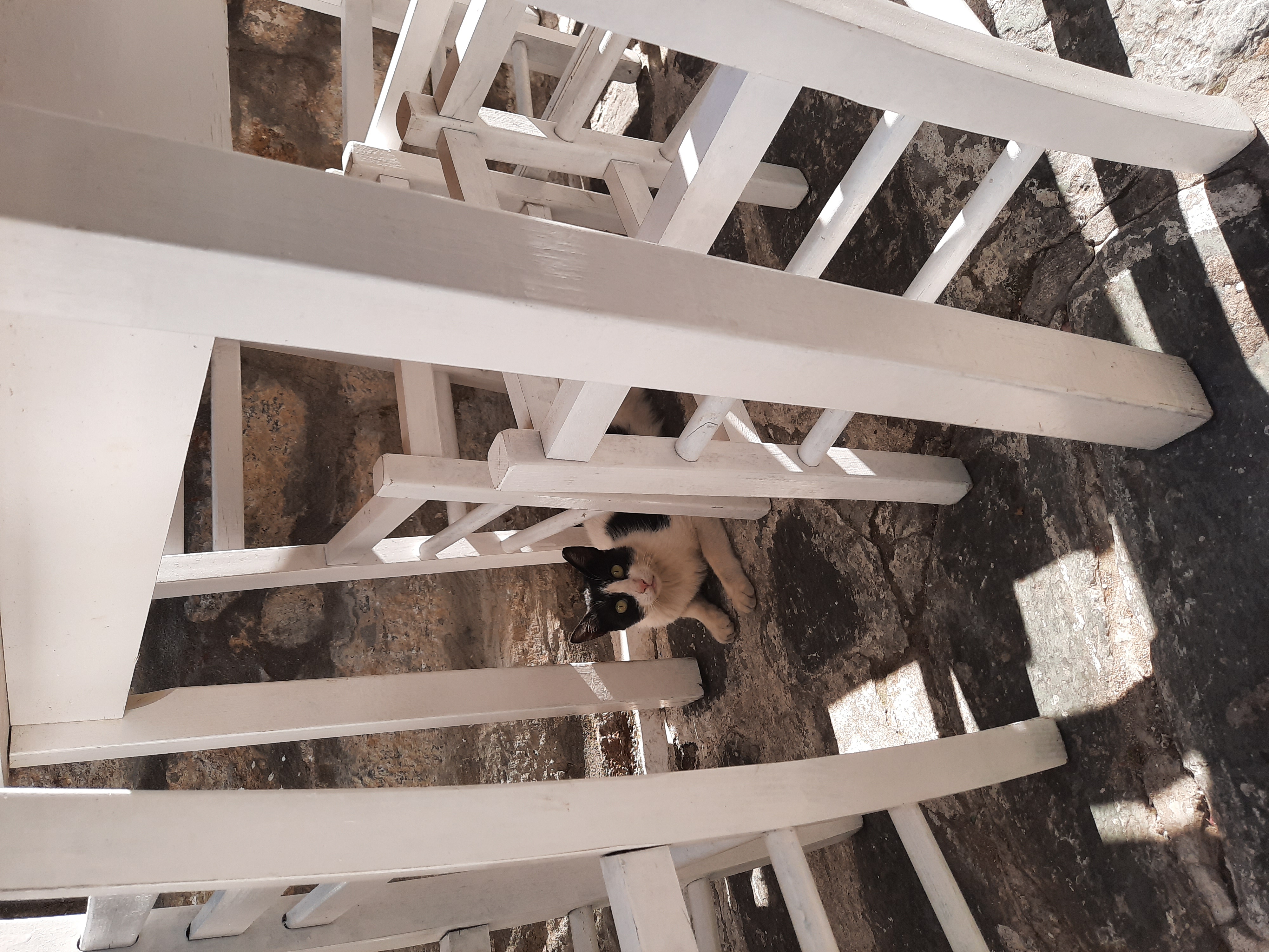 1.07.2020. Grčka, Skijatos Foto: Ivana Stojanov/Nova.rs